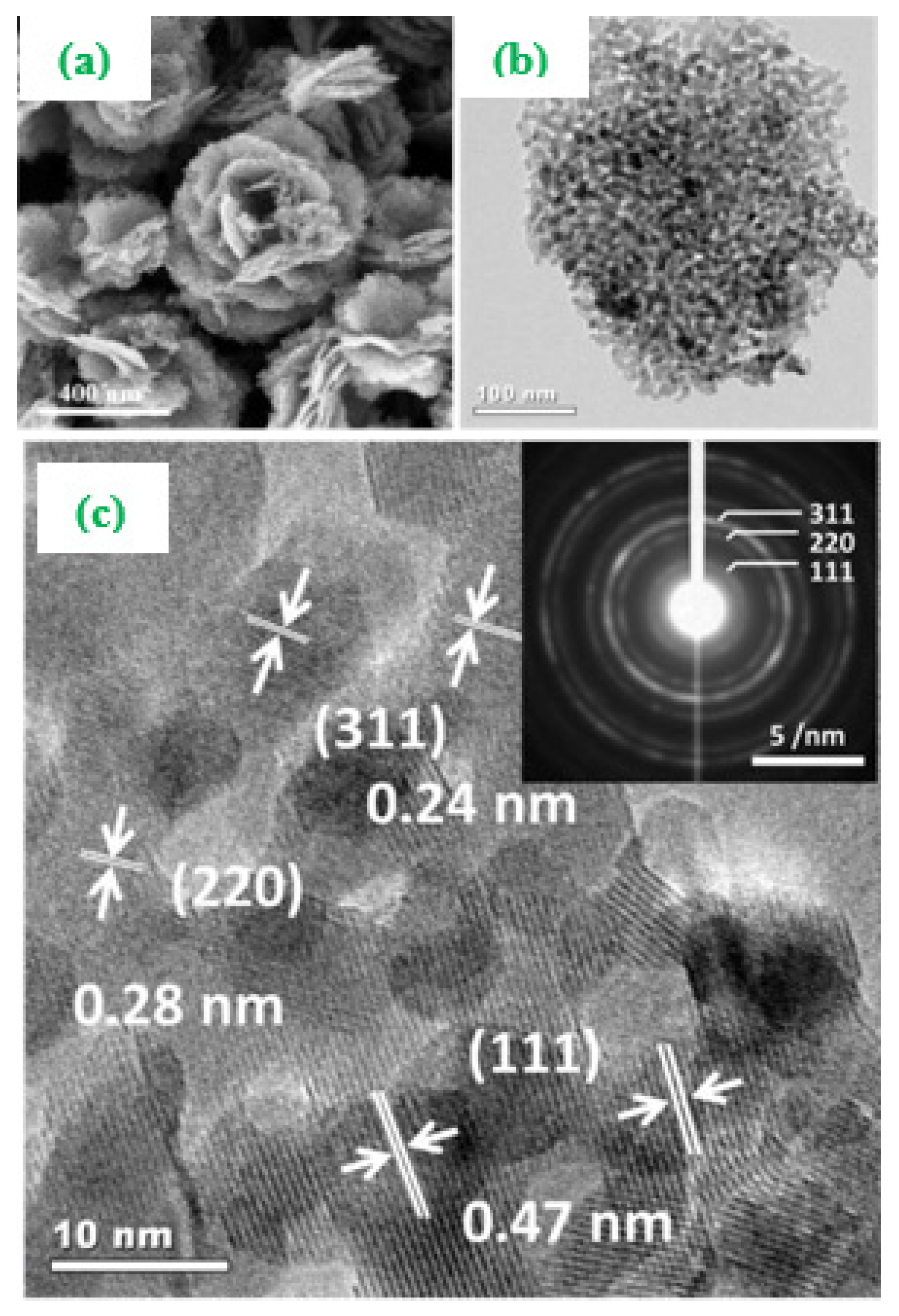 Materials 14 02976 g004