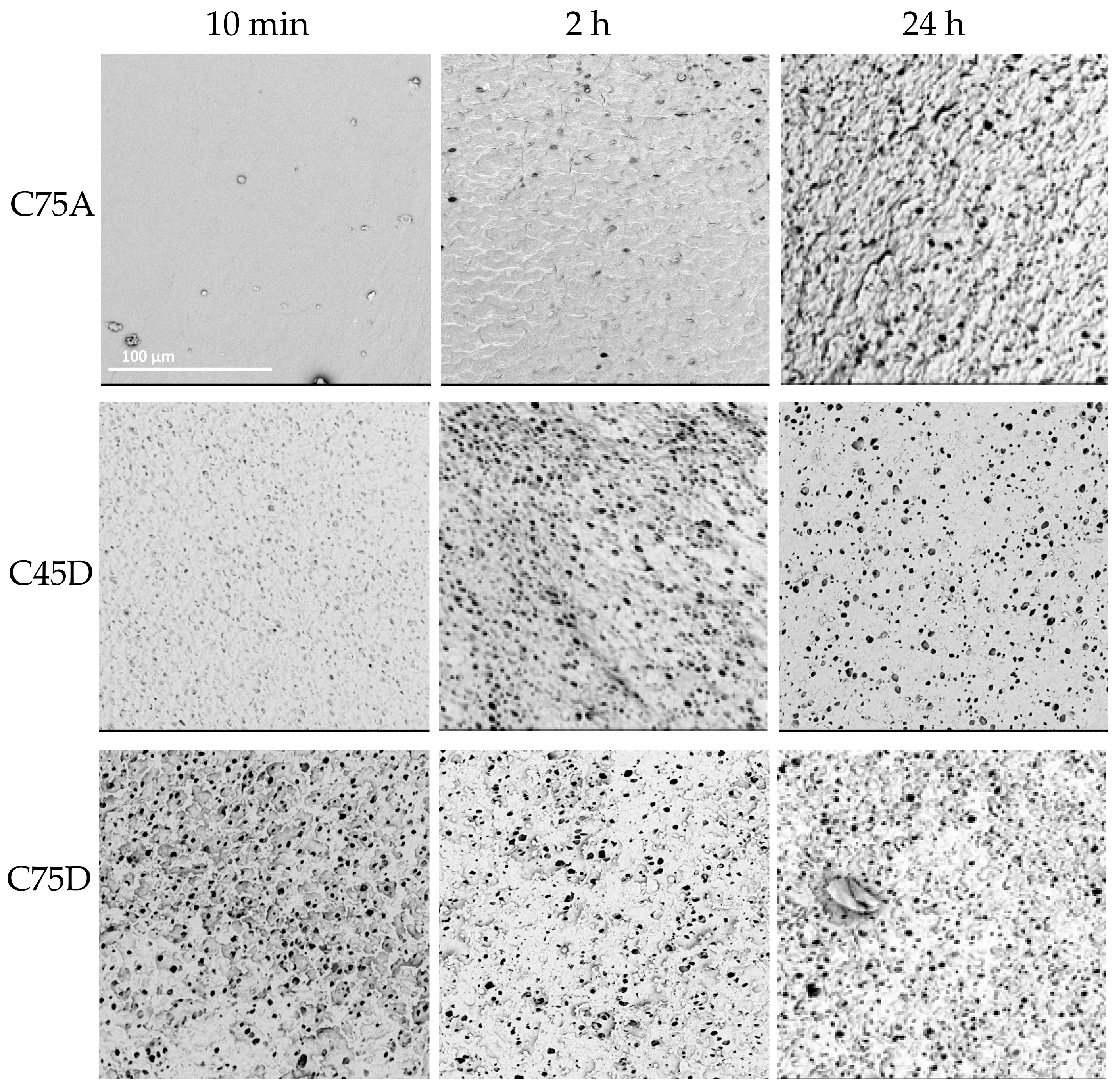 Materials 14 02977 g007