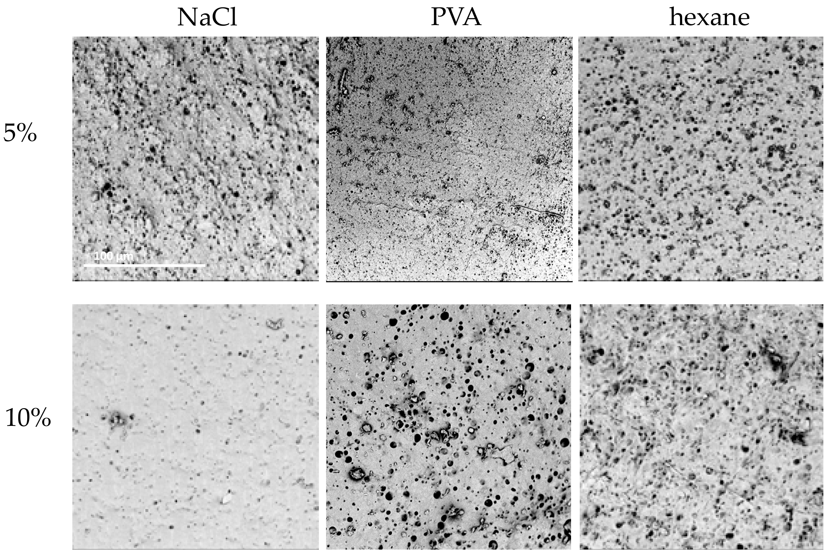 Materials 14 02977 g008