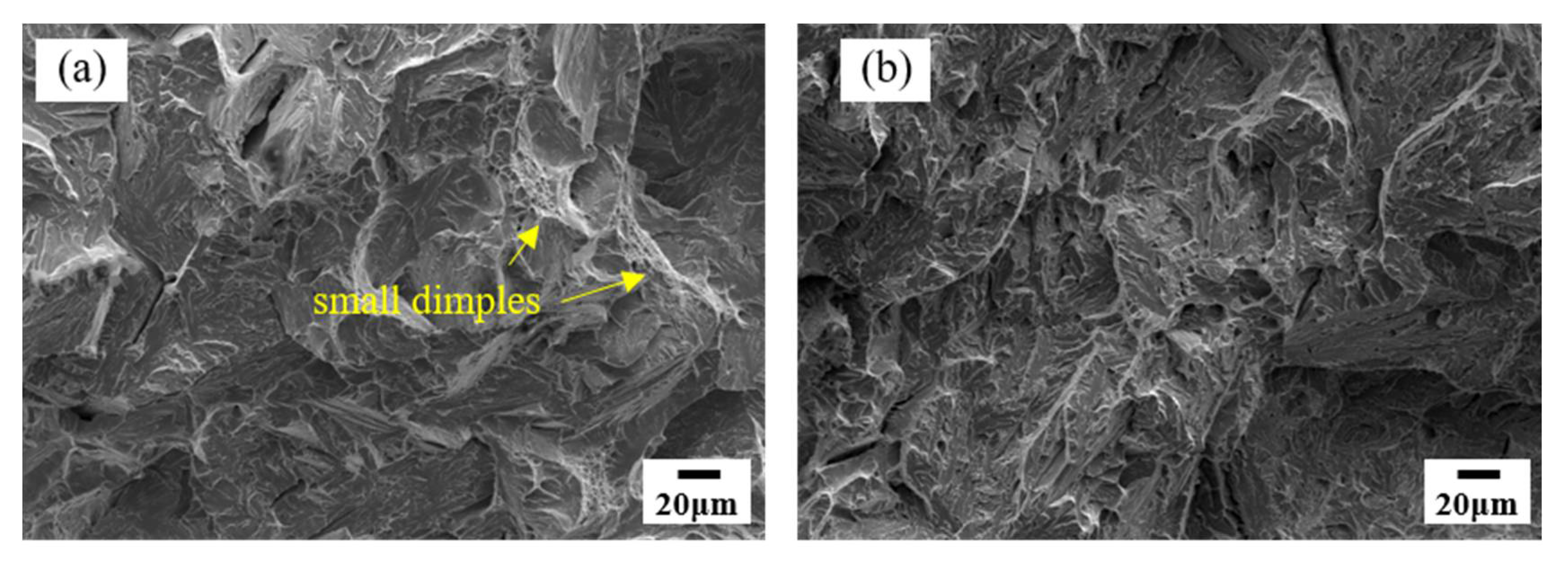 Materials 14 02981 g010