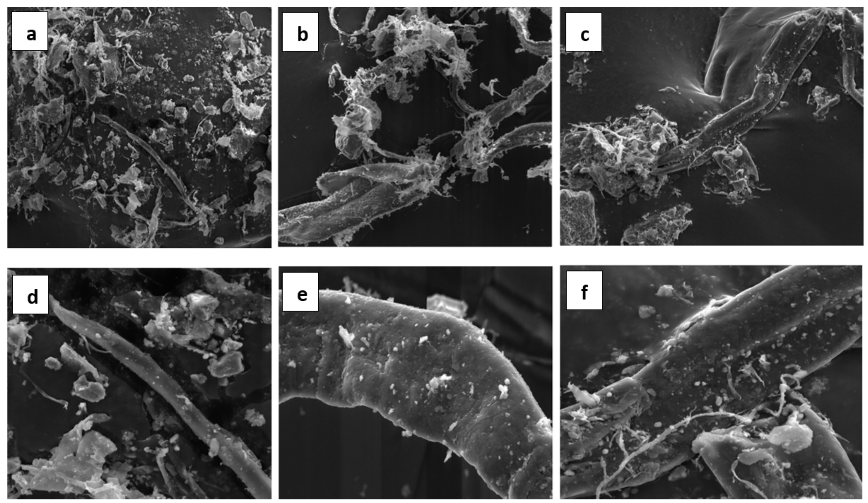 Materials 14 02986 g001