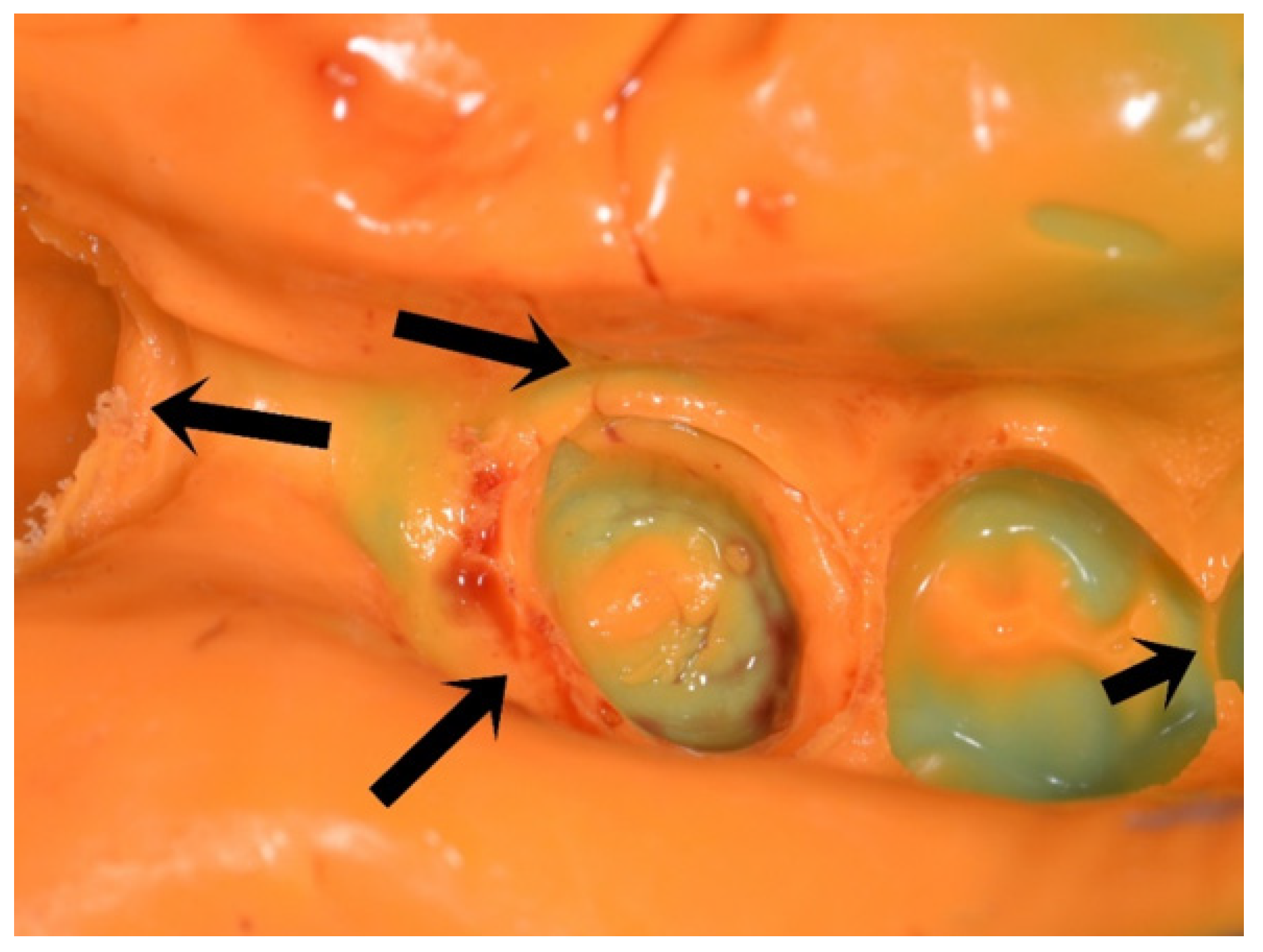 Materials 14 02994 g001