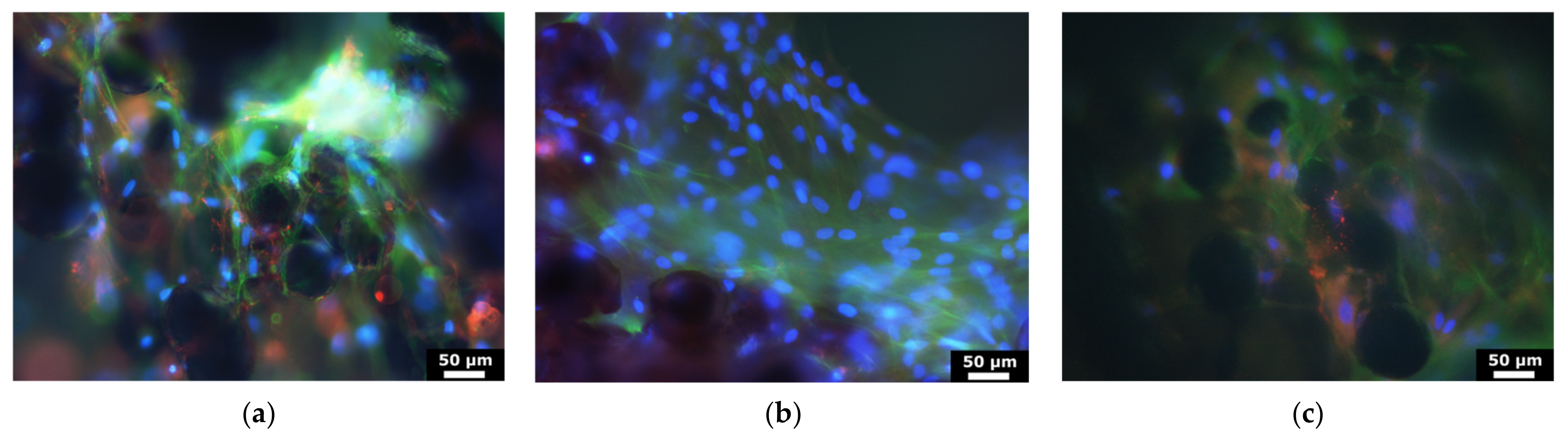 Materials 14 03001 g006