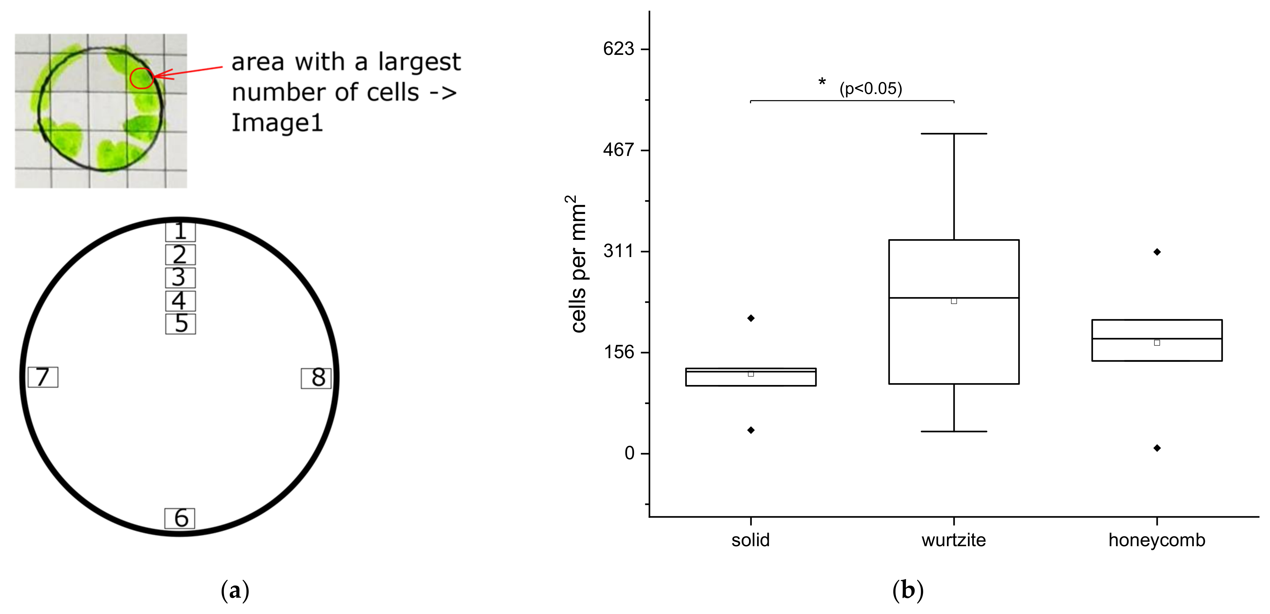 Materials 14 03001 g008