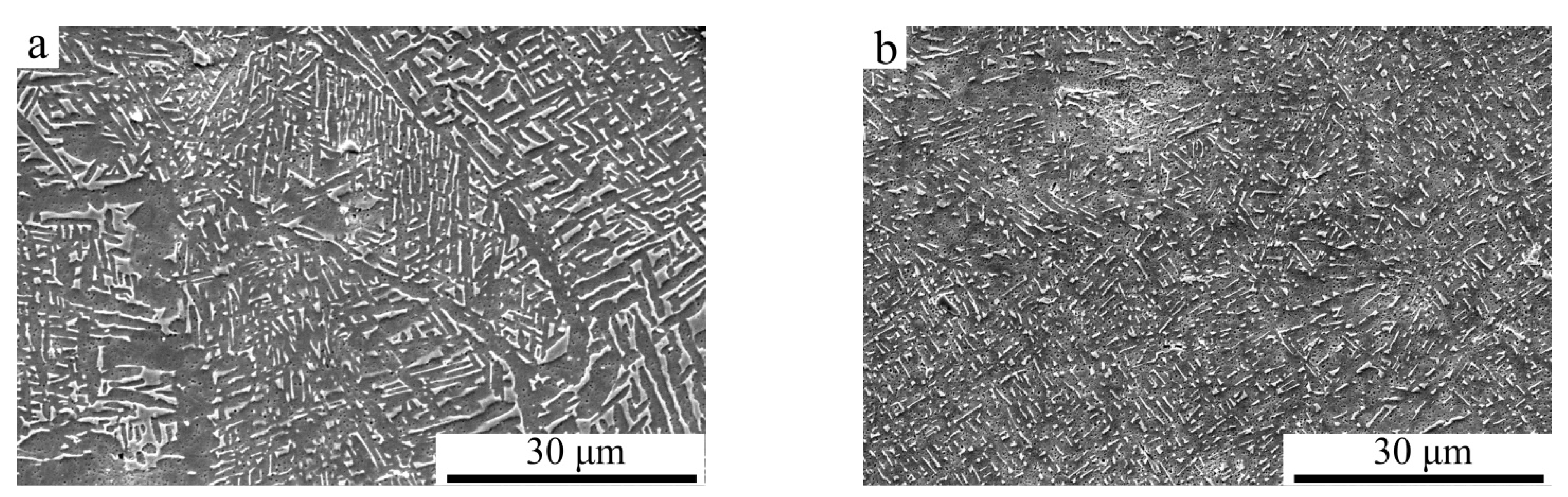 Materials 14 03004 g004