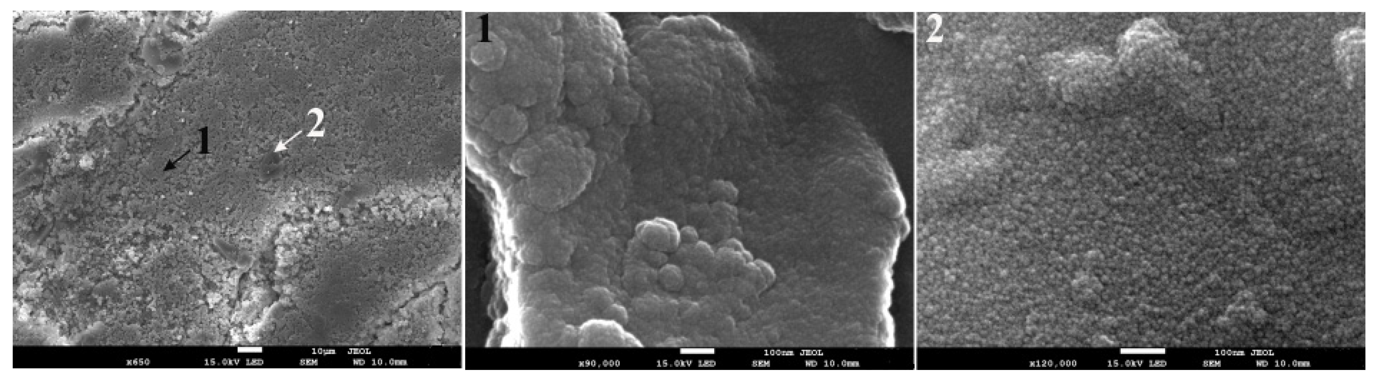 Materials 14 03024 g011