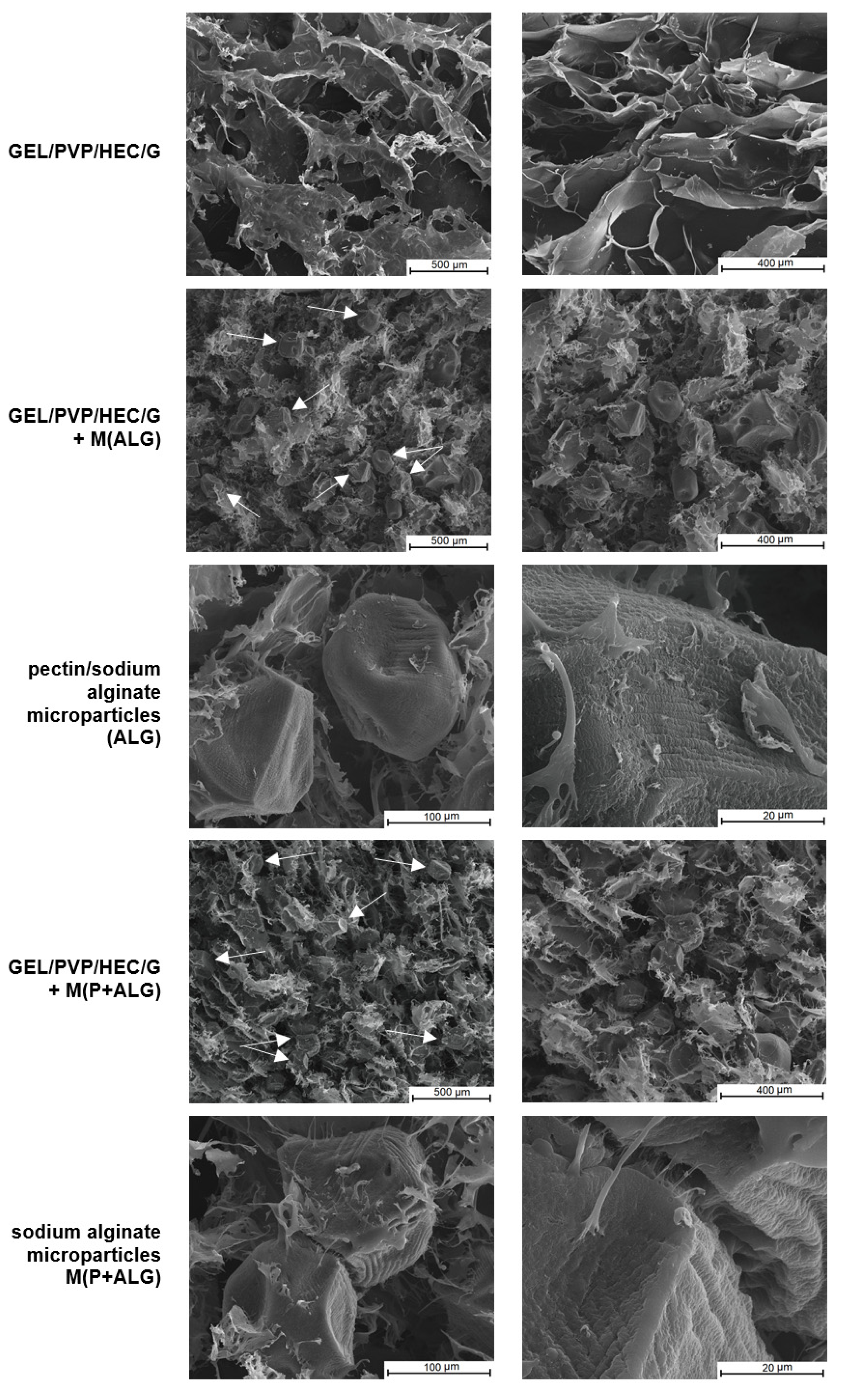 Materials 14 03044 g004