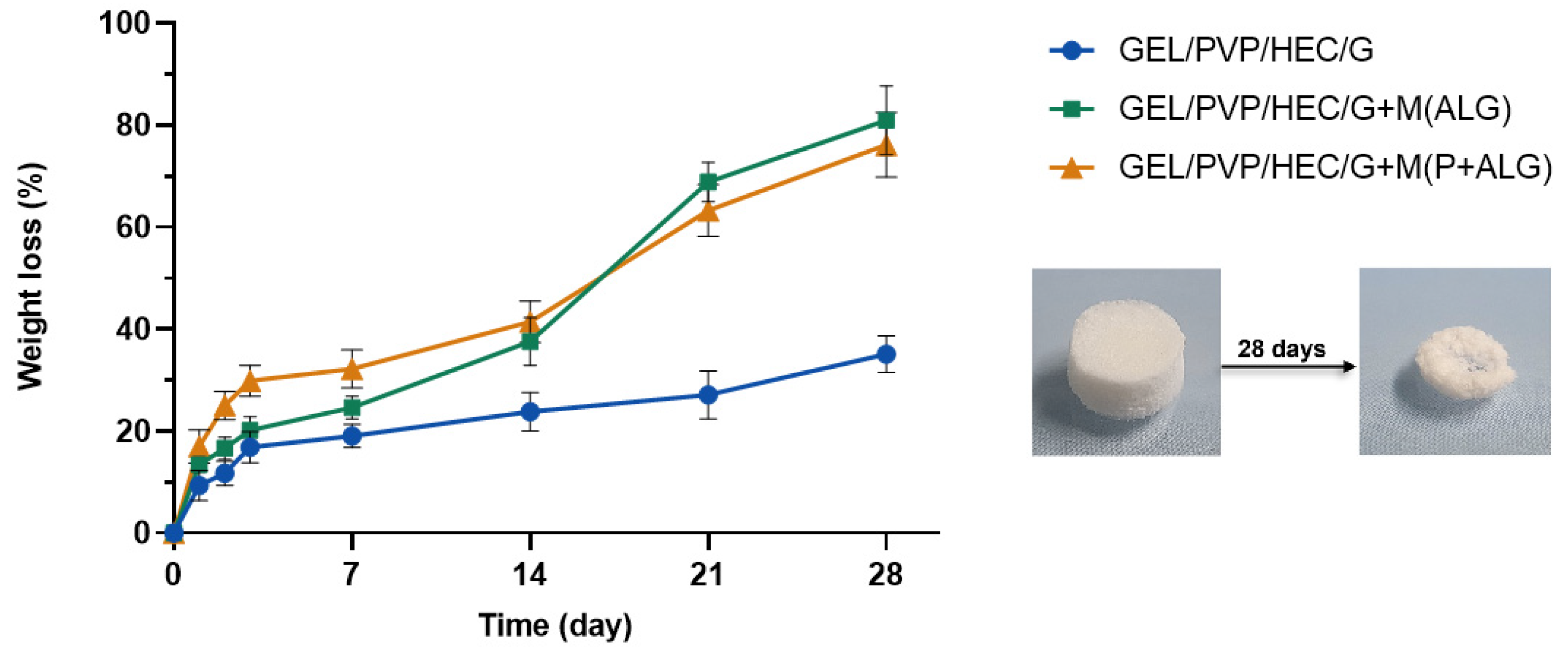 Materials 14 03044 g006