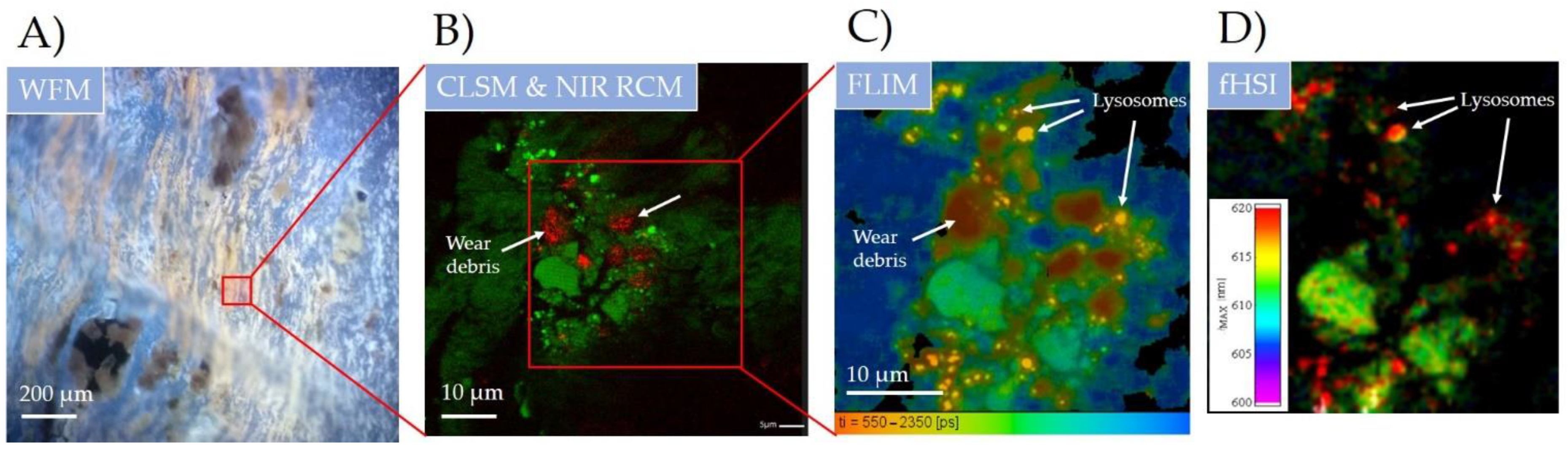 Materials 14 03048 g003 Materials 14 03048 g003