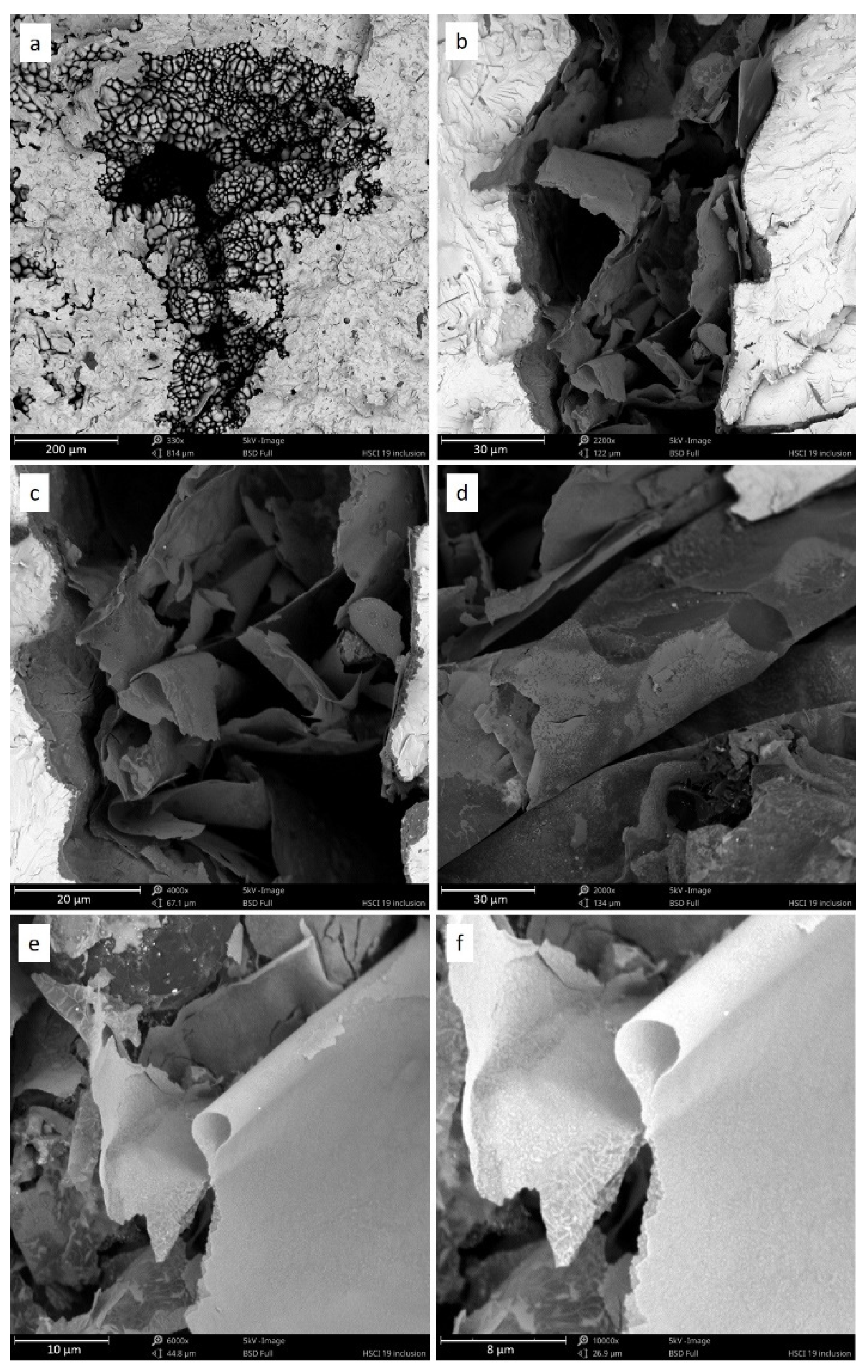 Materials 14 03067 g002 Materials 14 03067 g002