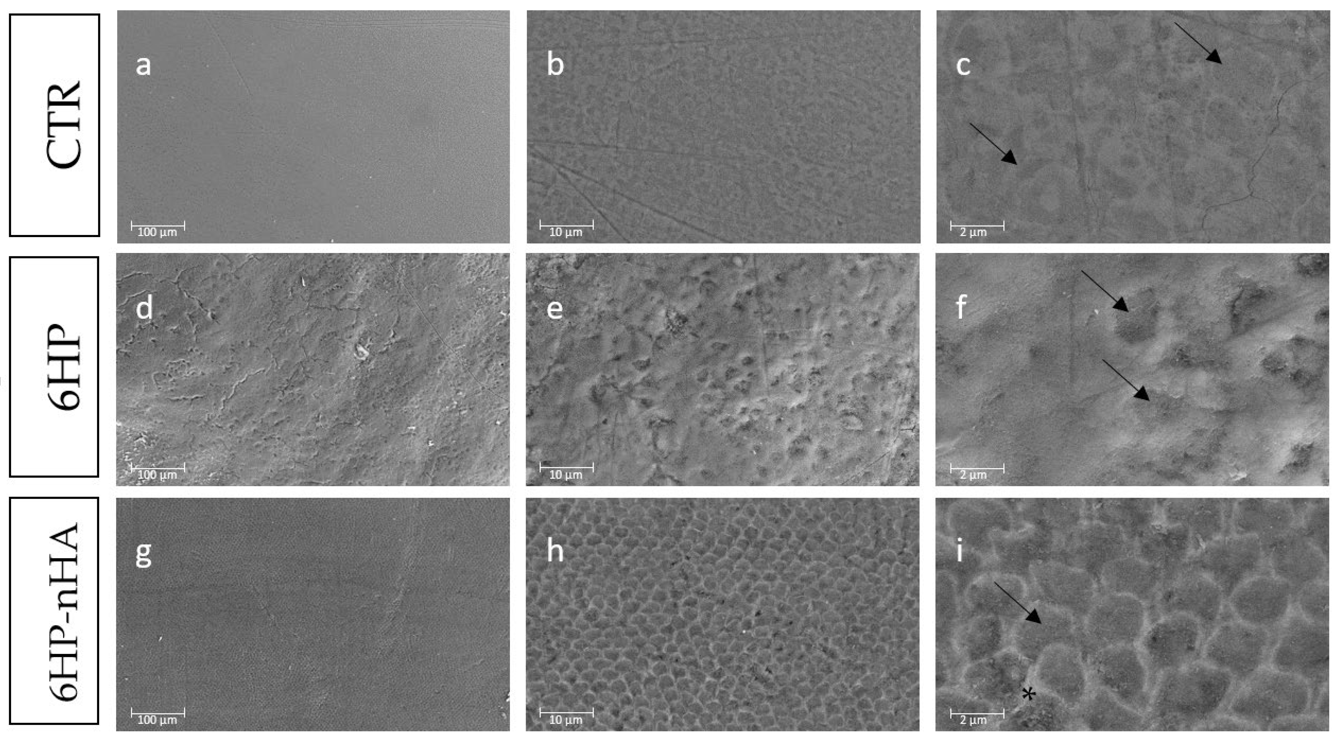 Materials 14 03072 g002