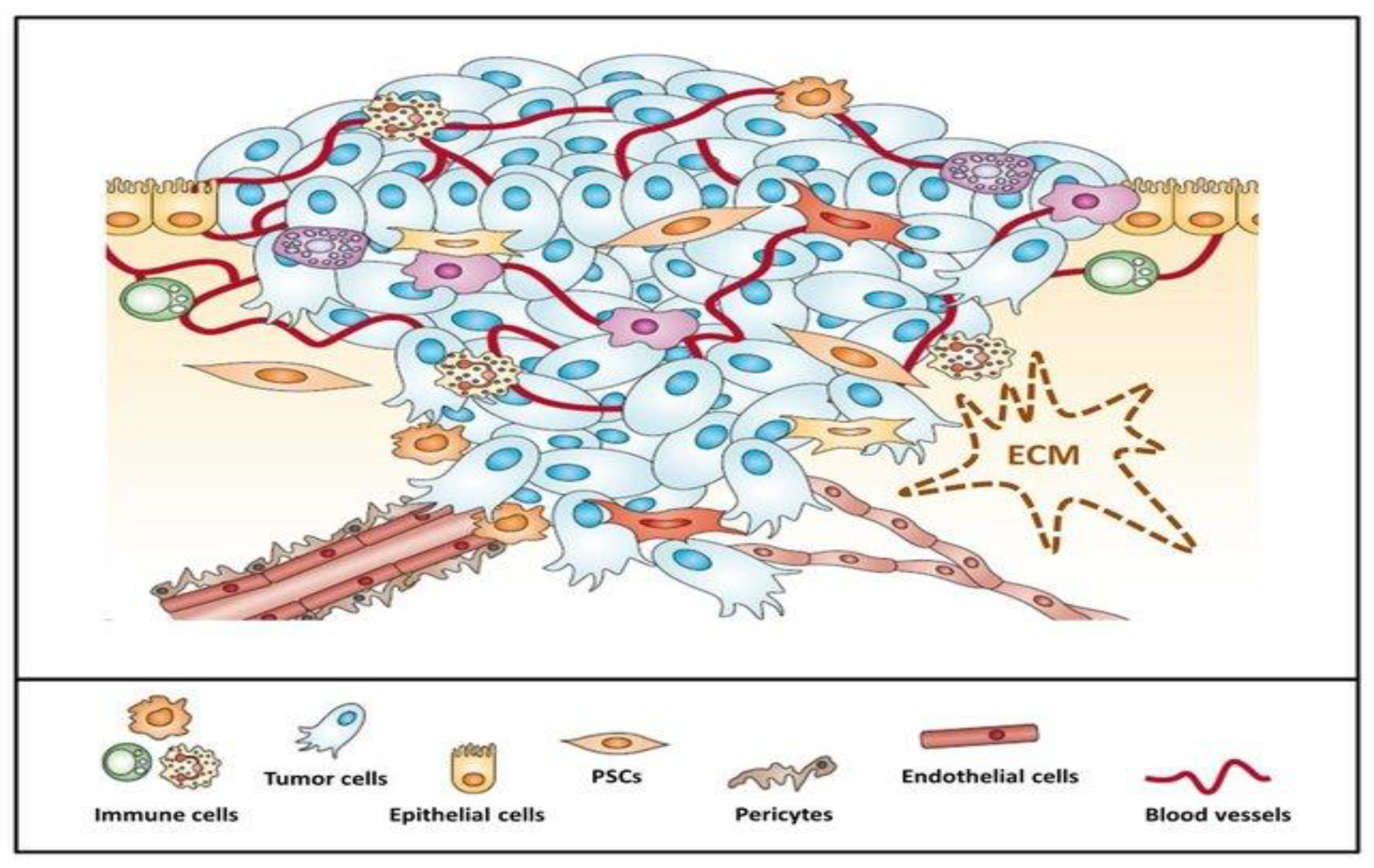 Materials 14 03083 g001