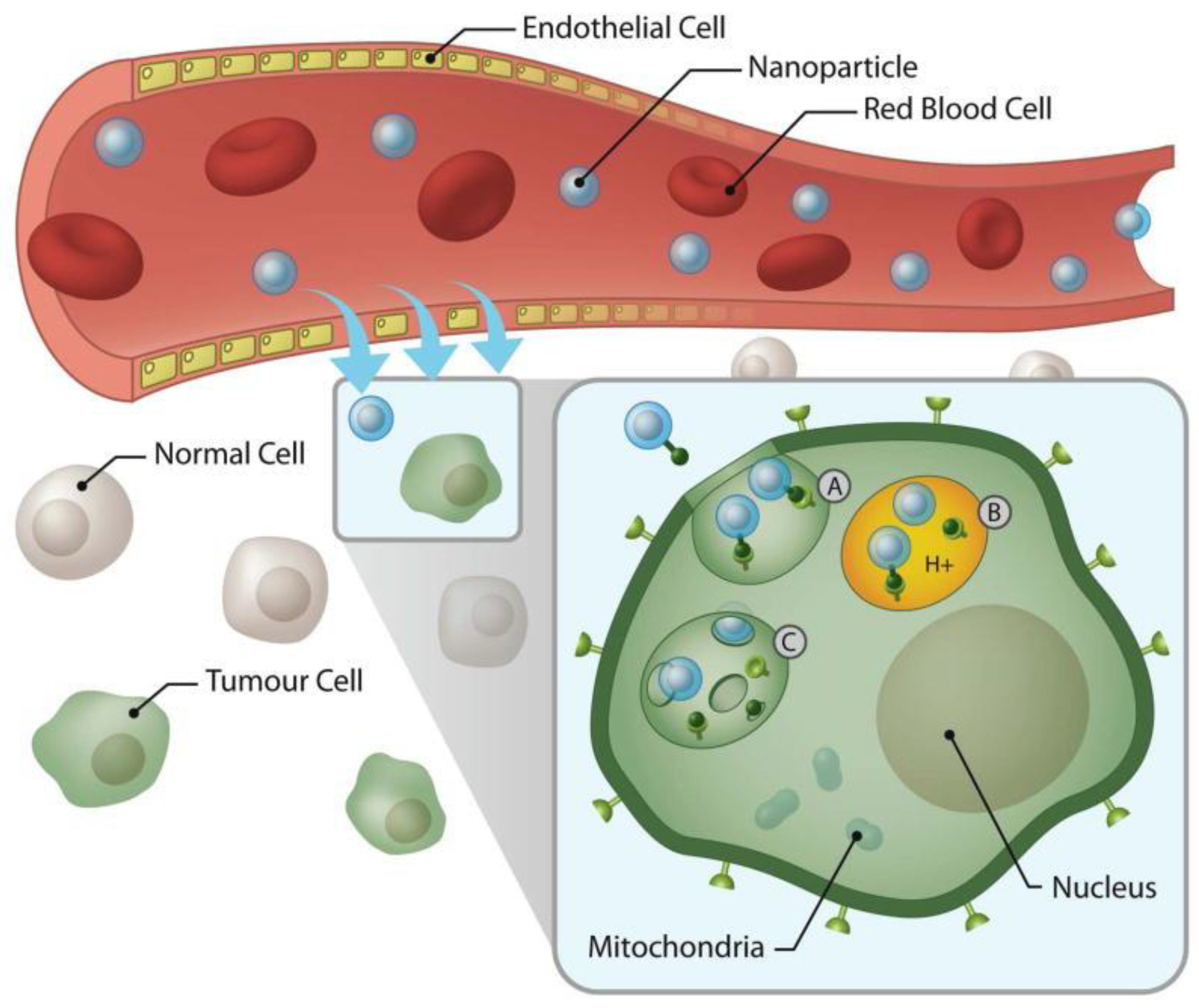 Materials 14 03083 g003