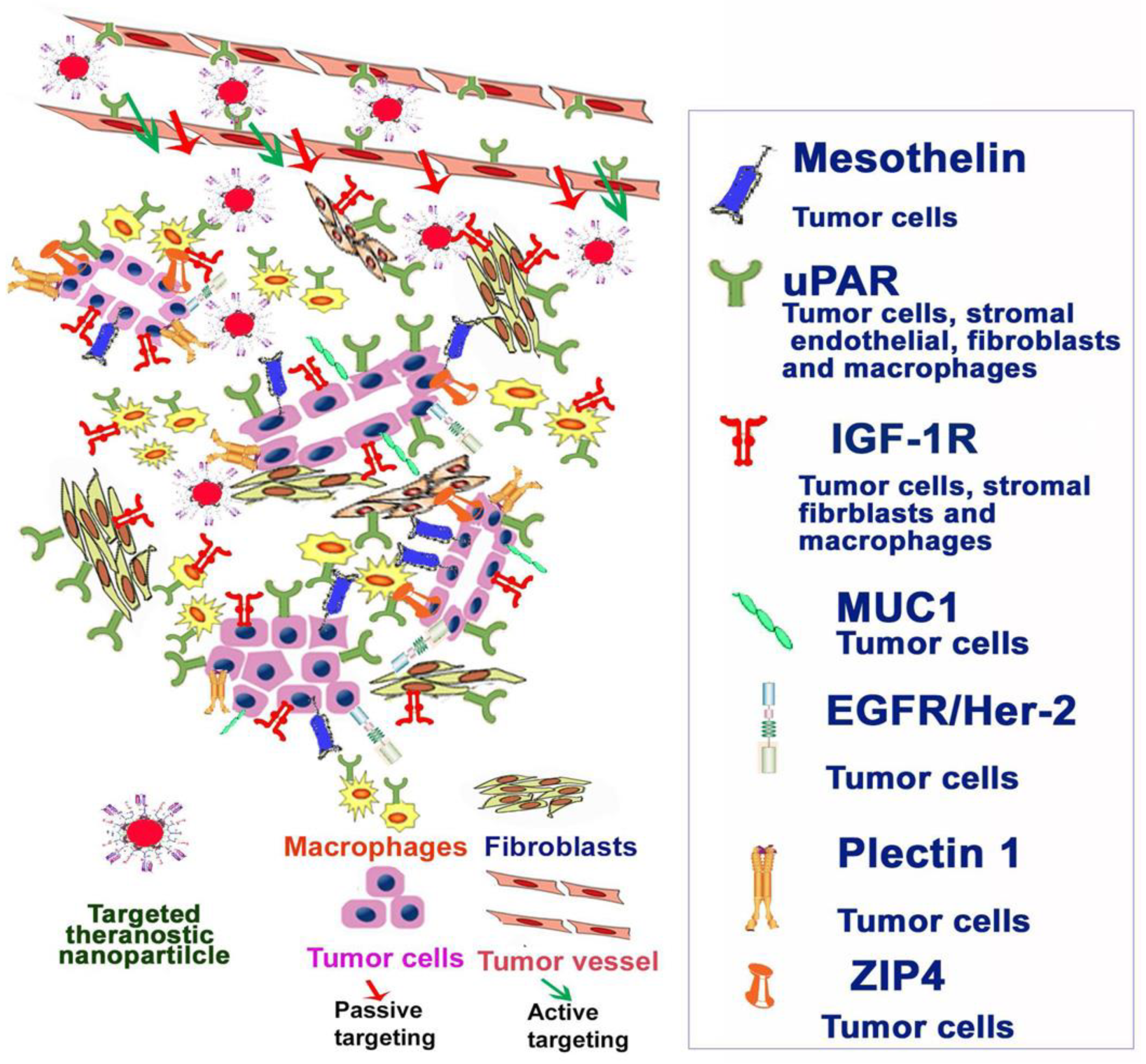 Materials 14 03083 g004
