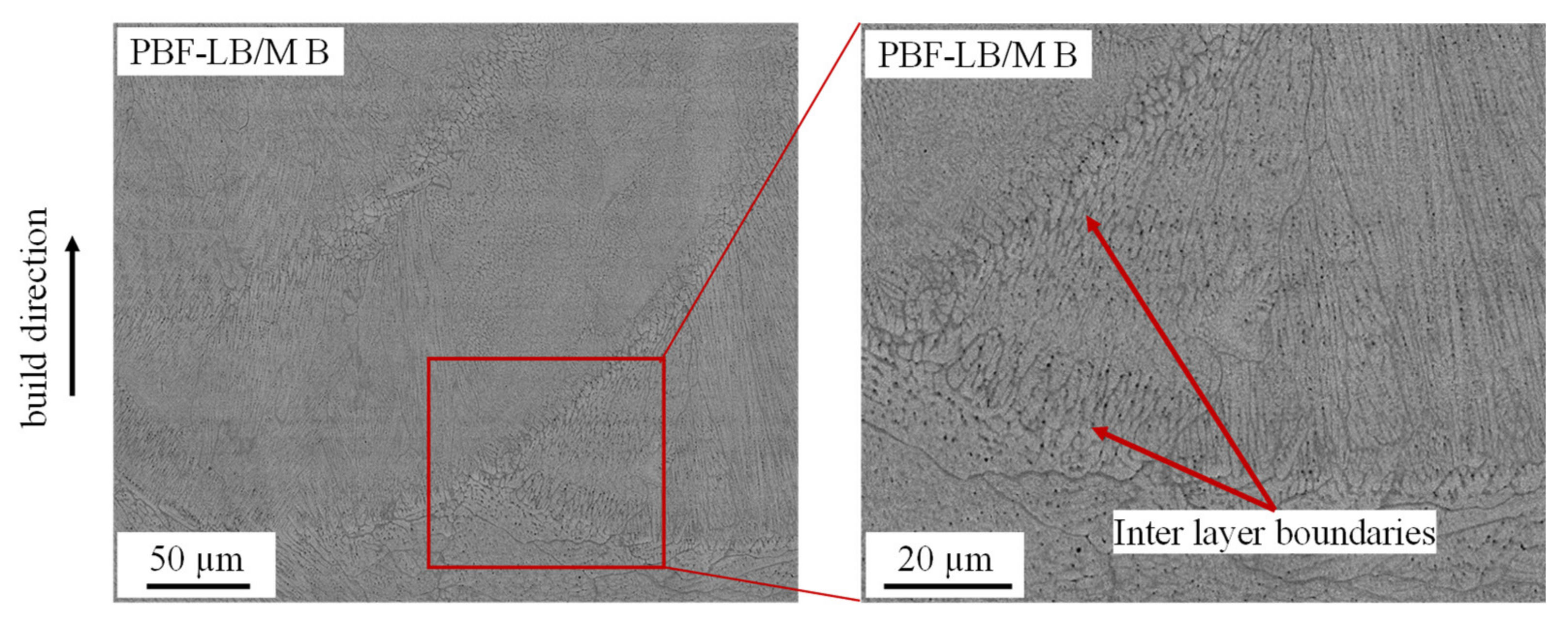 Materials 14 03095 g004