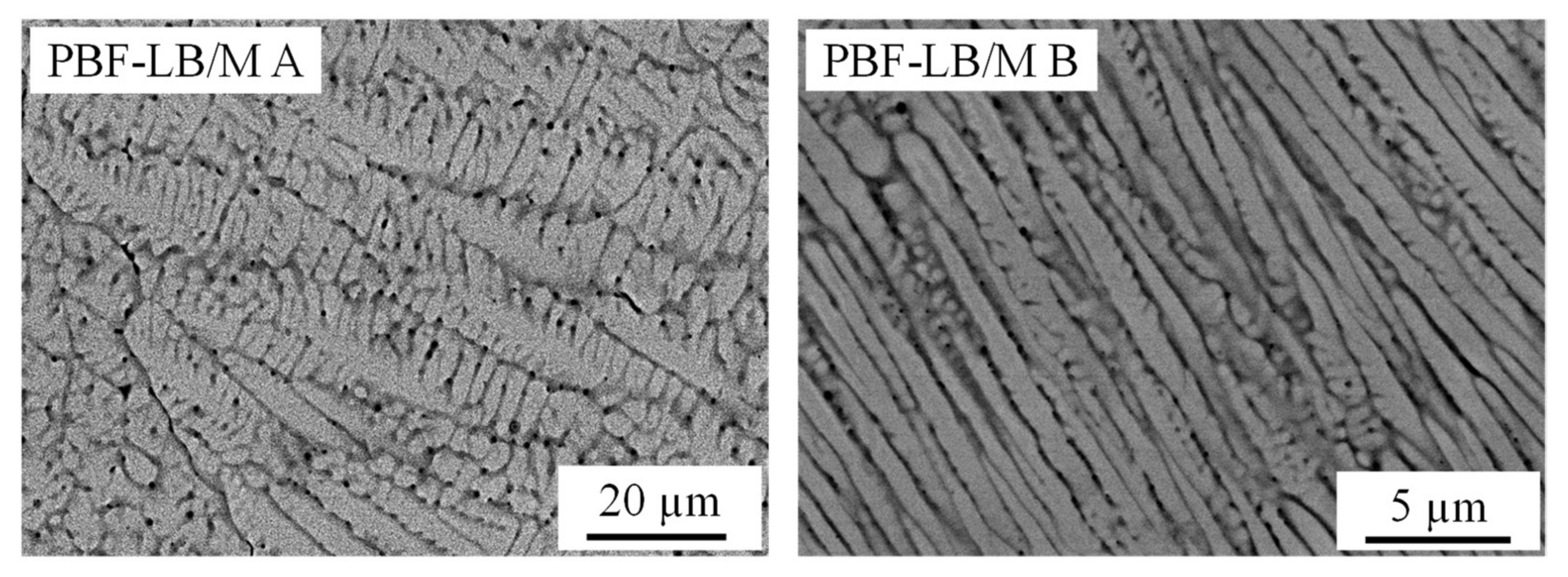 Materials 14 03095 g006