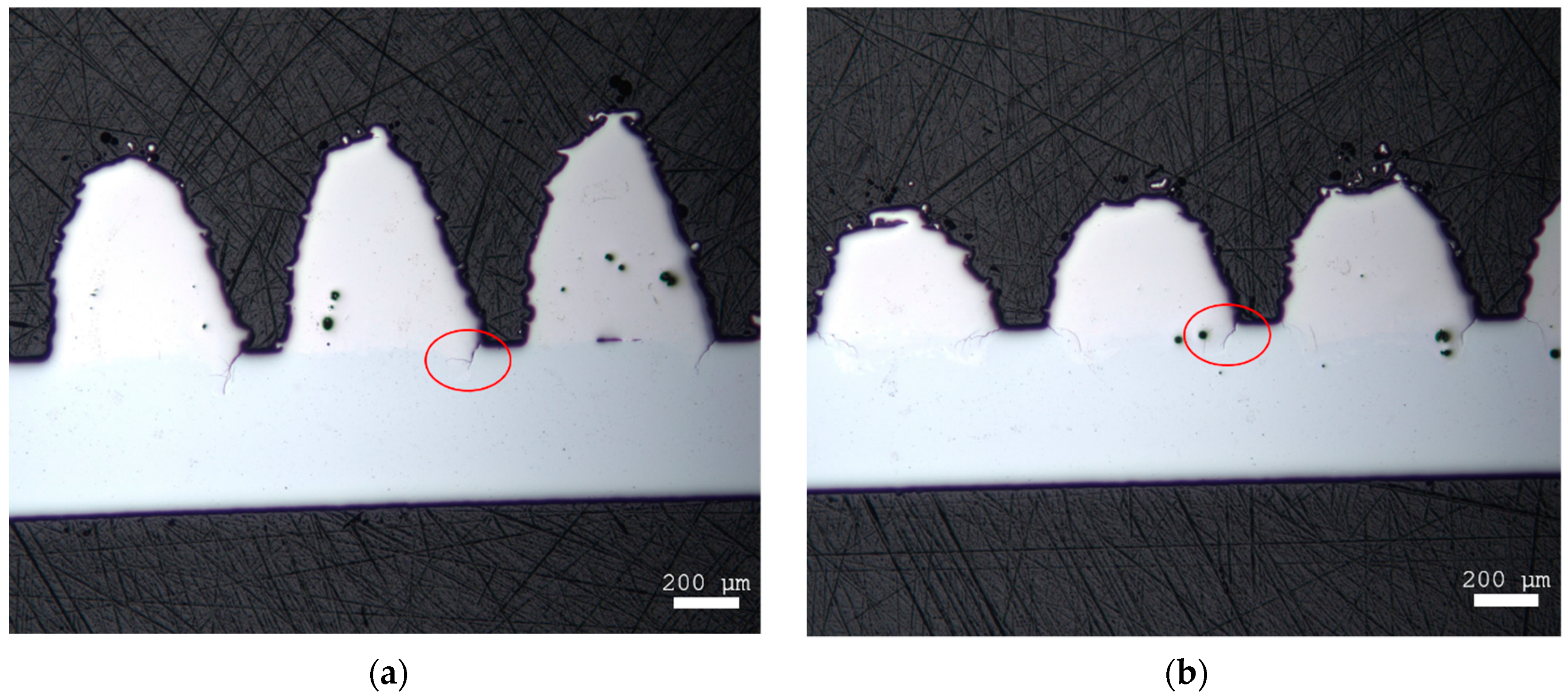 Materials 14 03098 g010