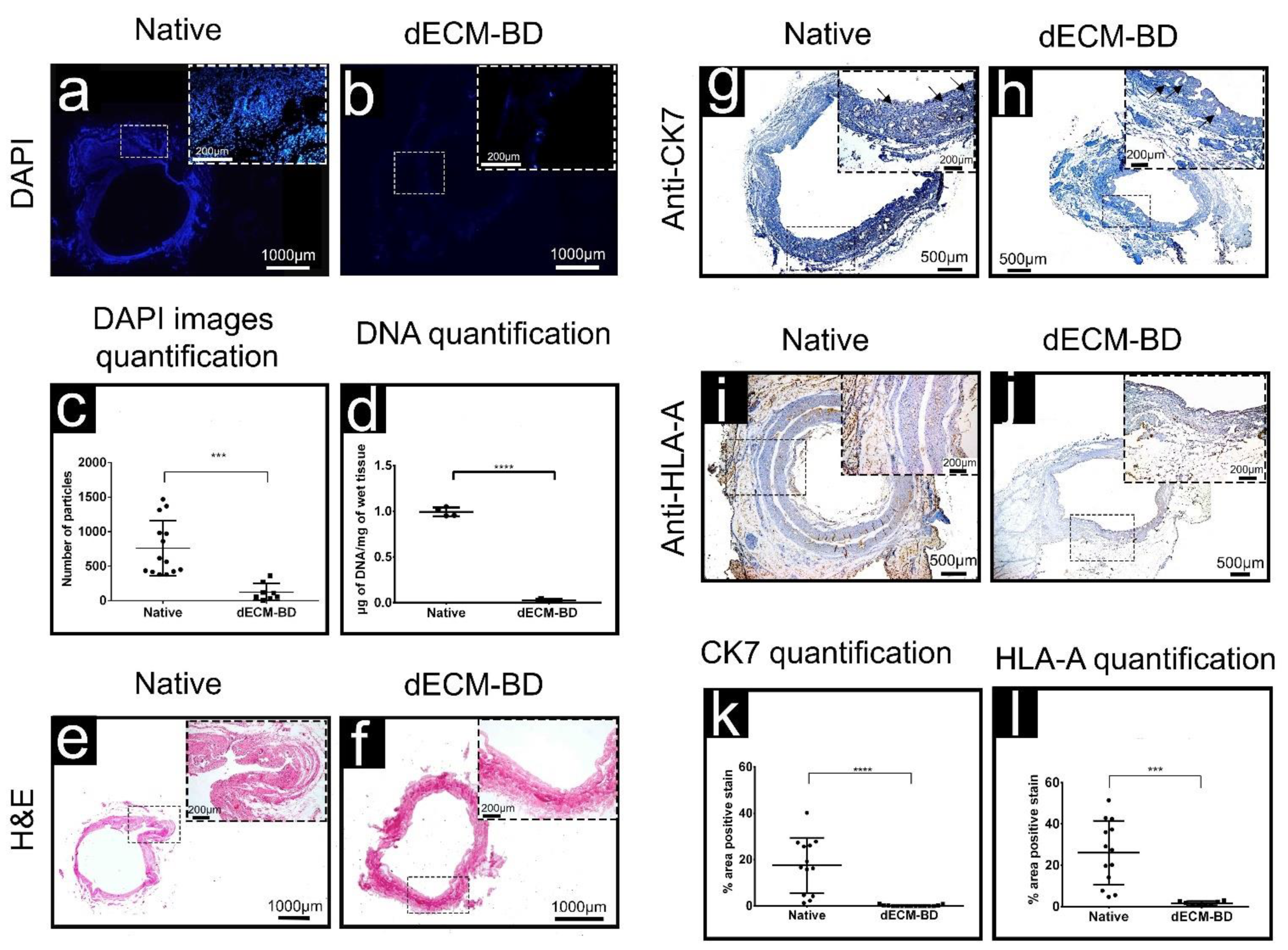 Materials 14 03099 g002