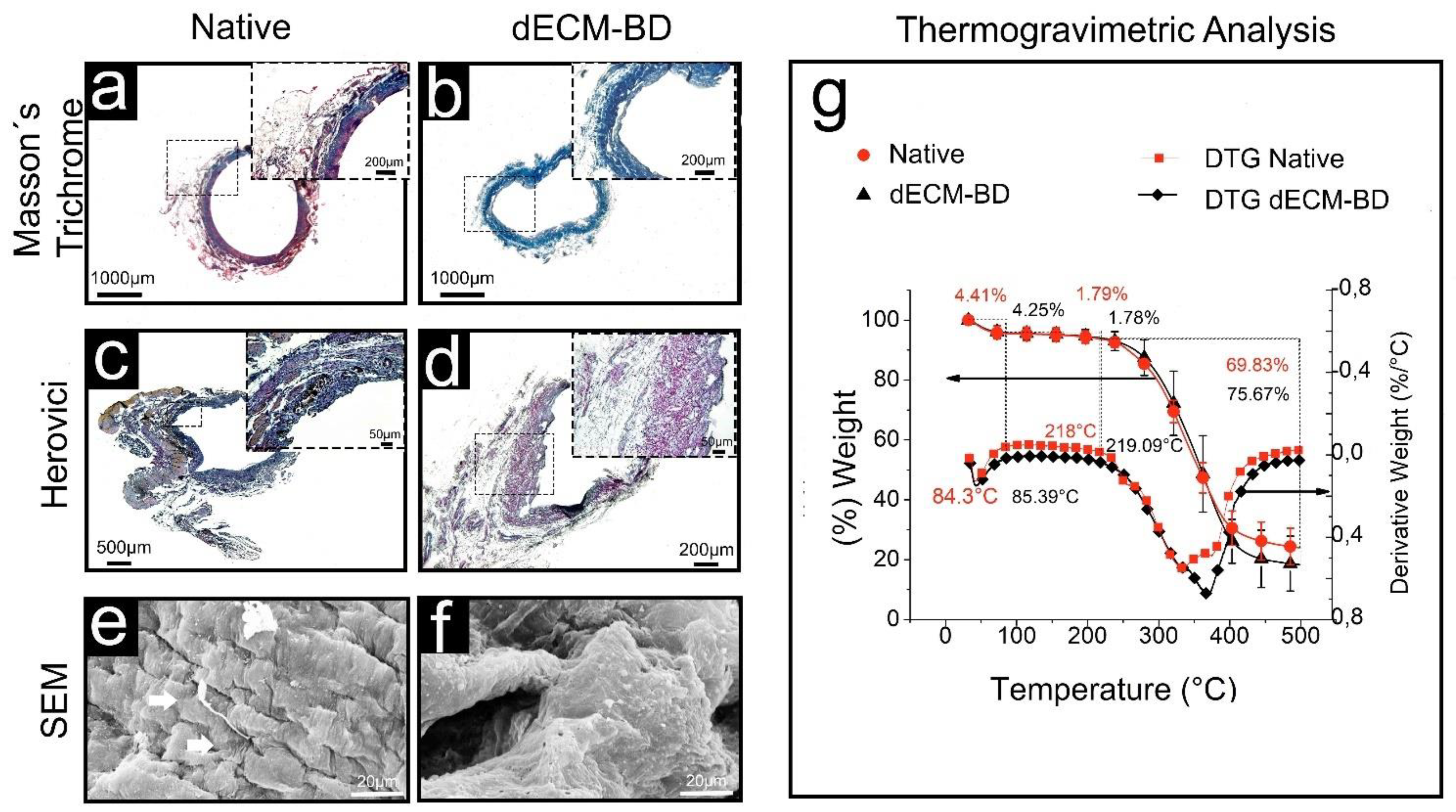 Materials 14 03099 g003