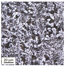 Materials 14 03116 i013