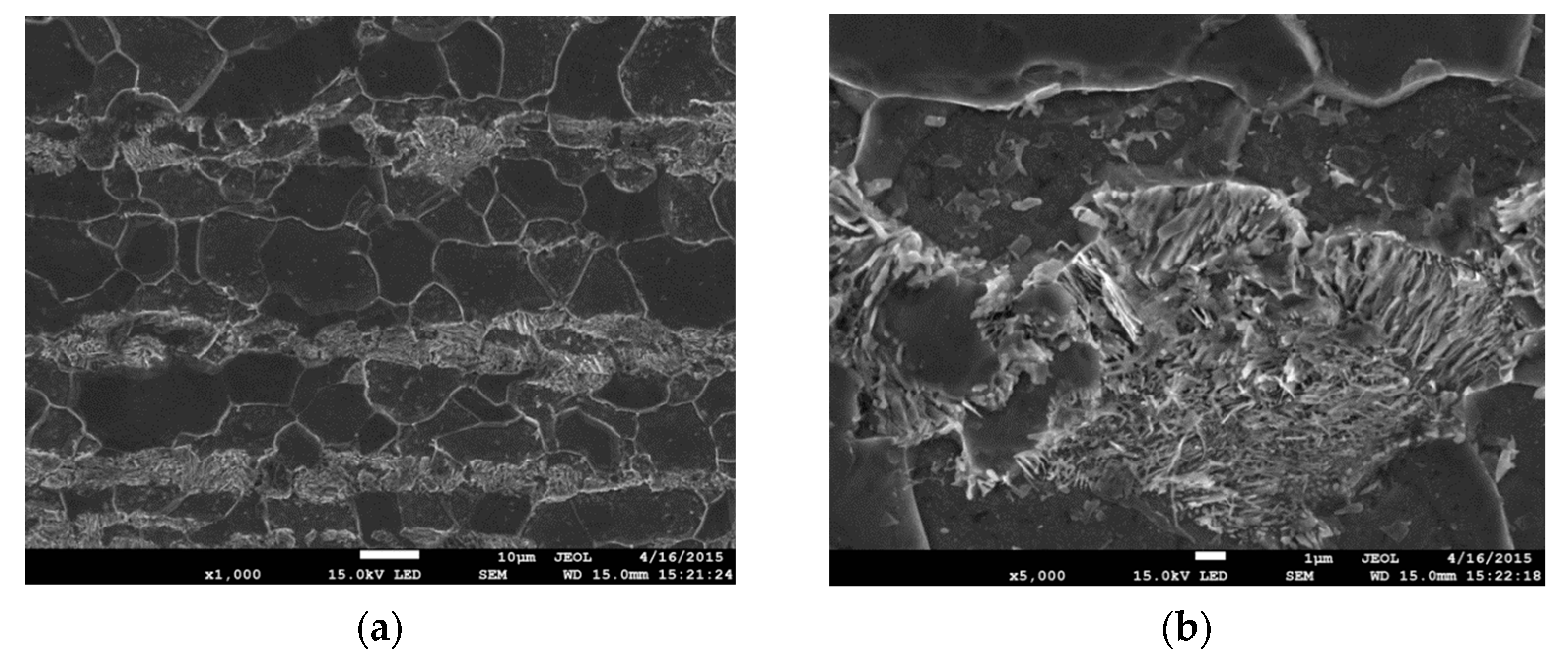 Materials 14 03117 g001