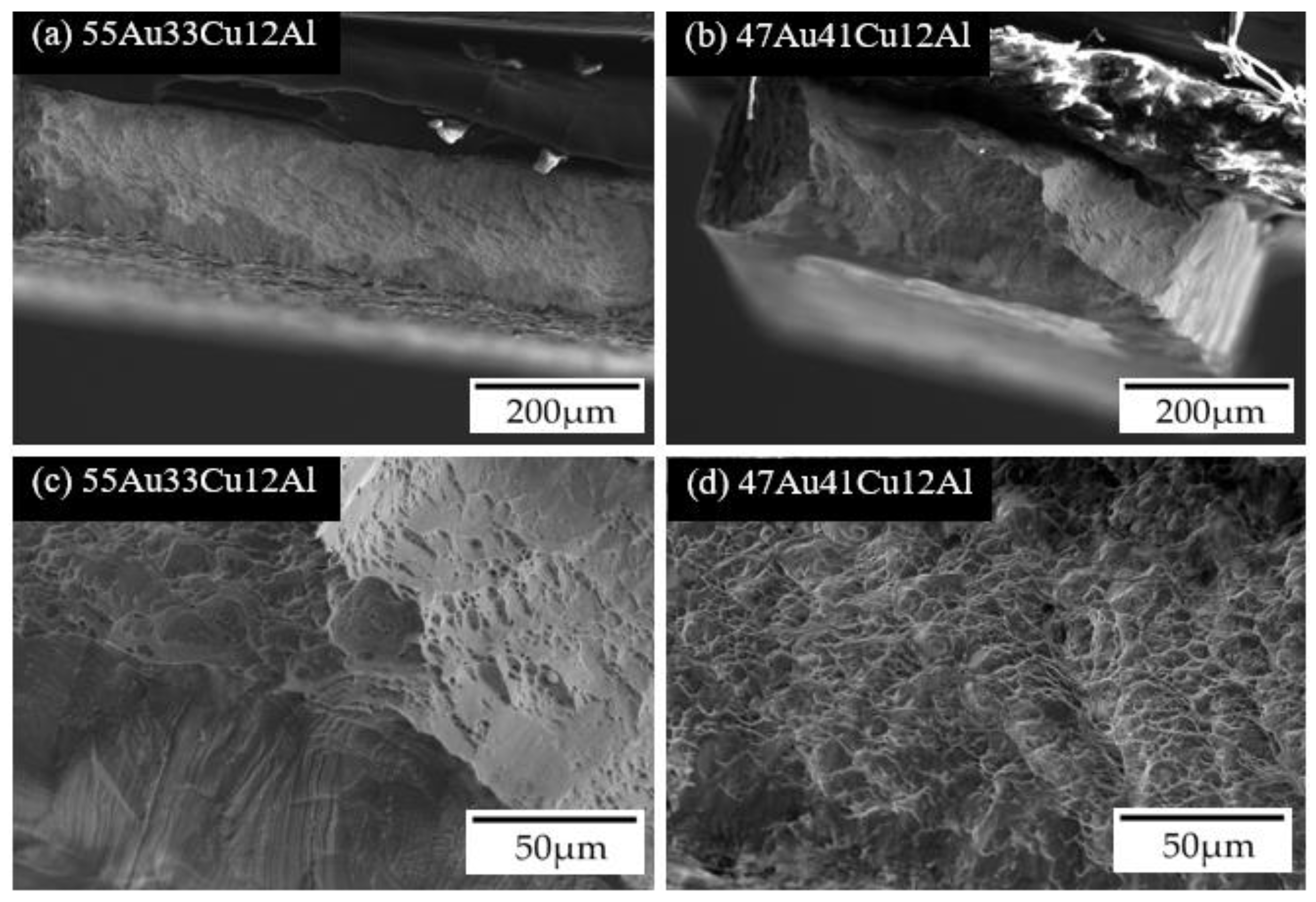 Materials 14 03122 g006