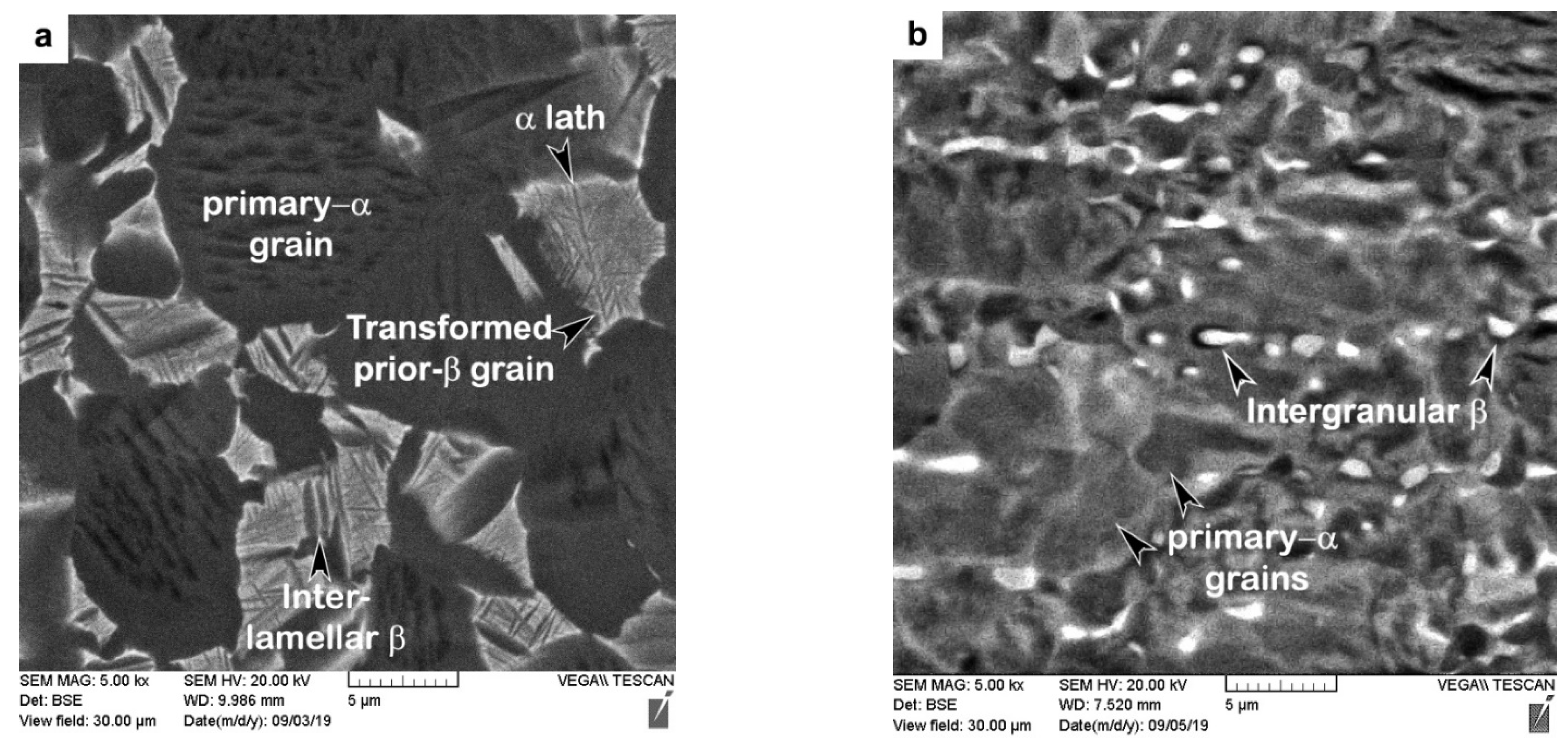 Materials 14 03136 g001 Materials 14 03136 g001