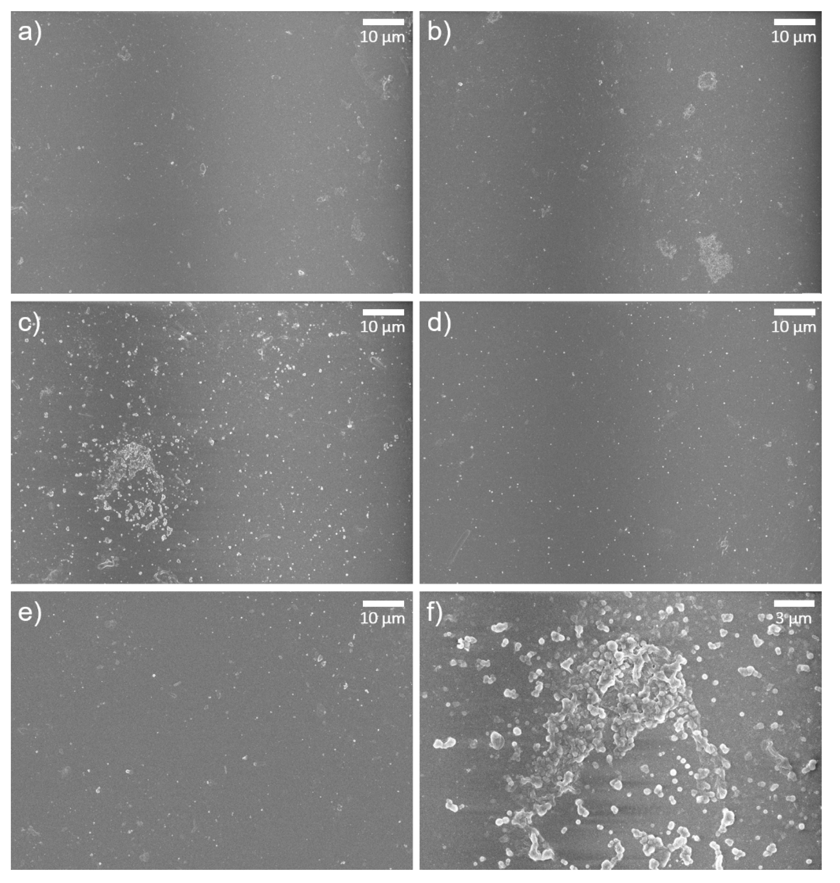 Materials 14 03151 g005