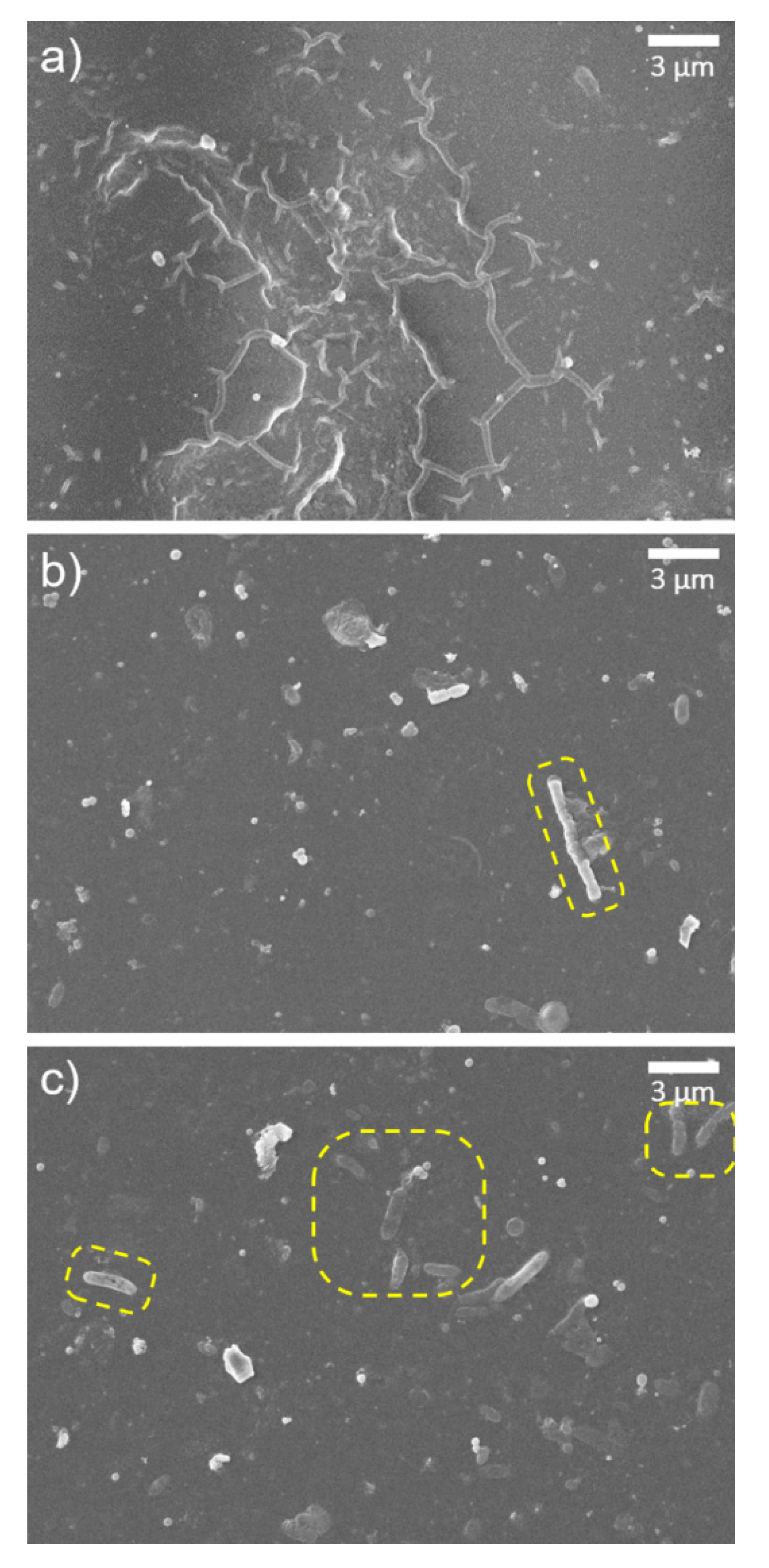 Materials 14 03151 g006