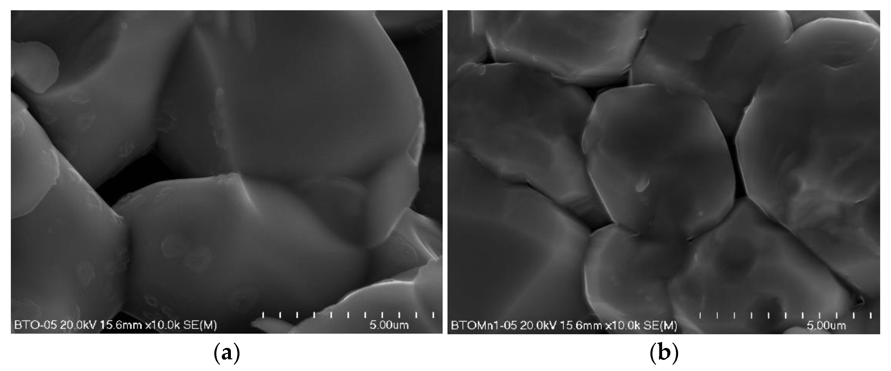 Materials 14 03152 g001a