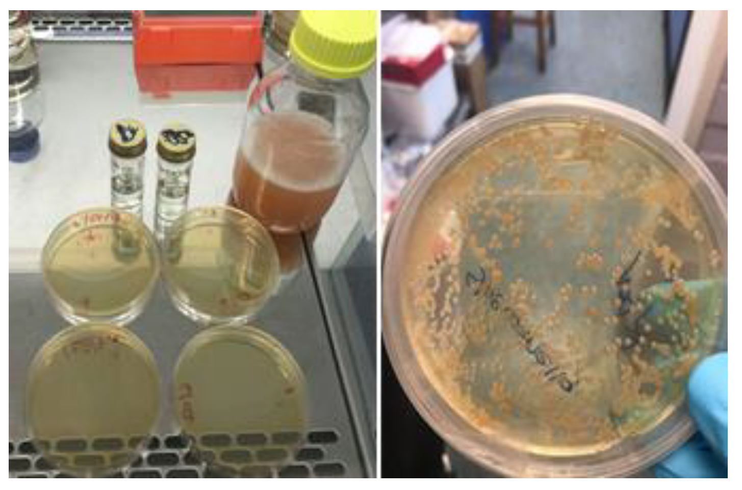 Materials 14 03154 g002 Materials 14 03154 g002