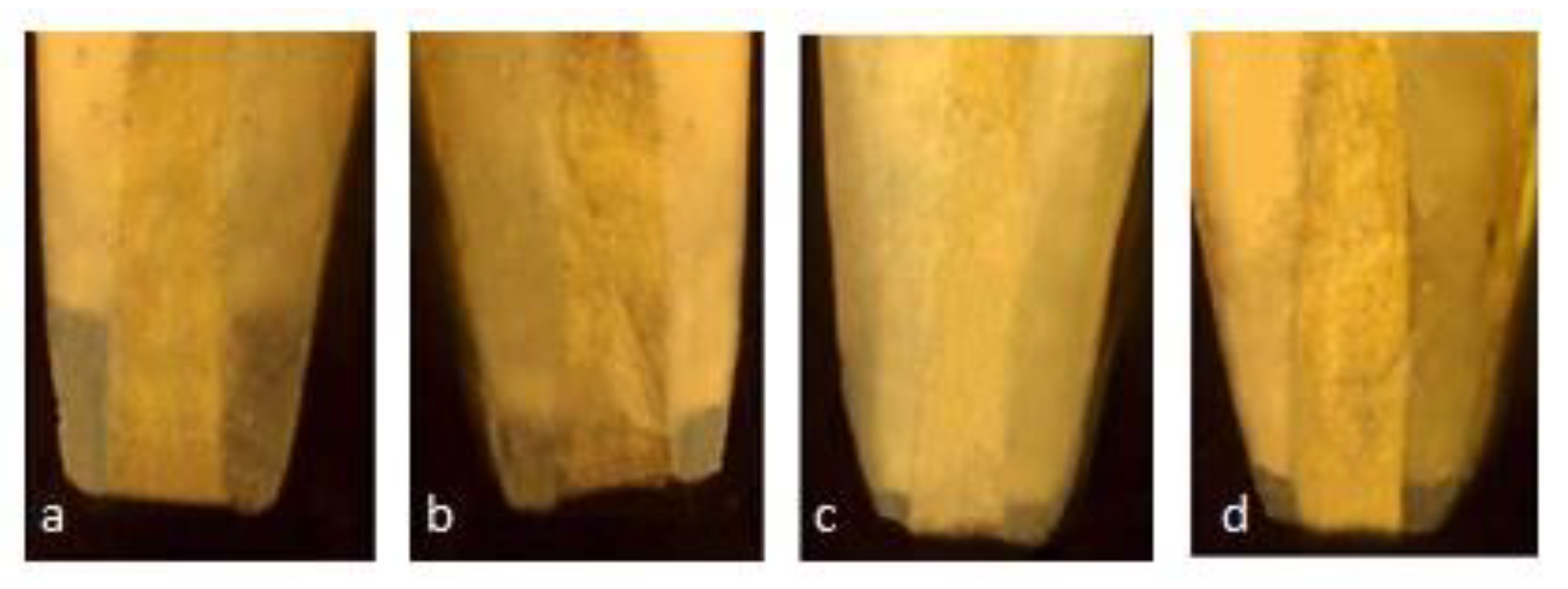 Materials 14 03159 g002