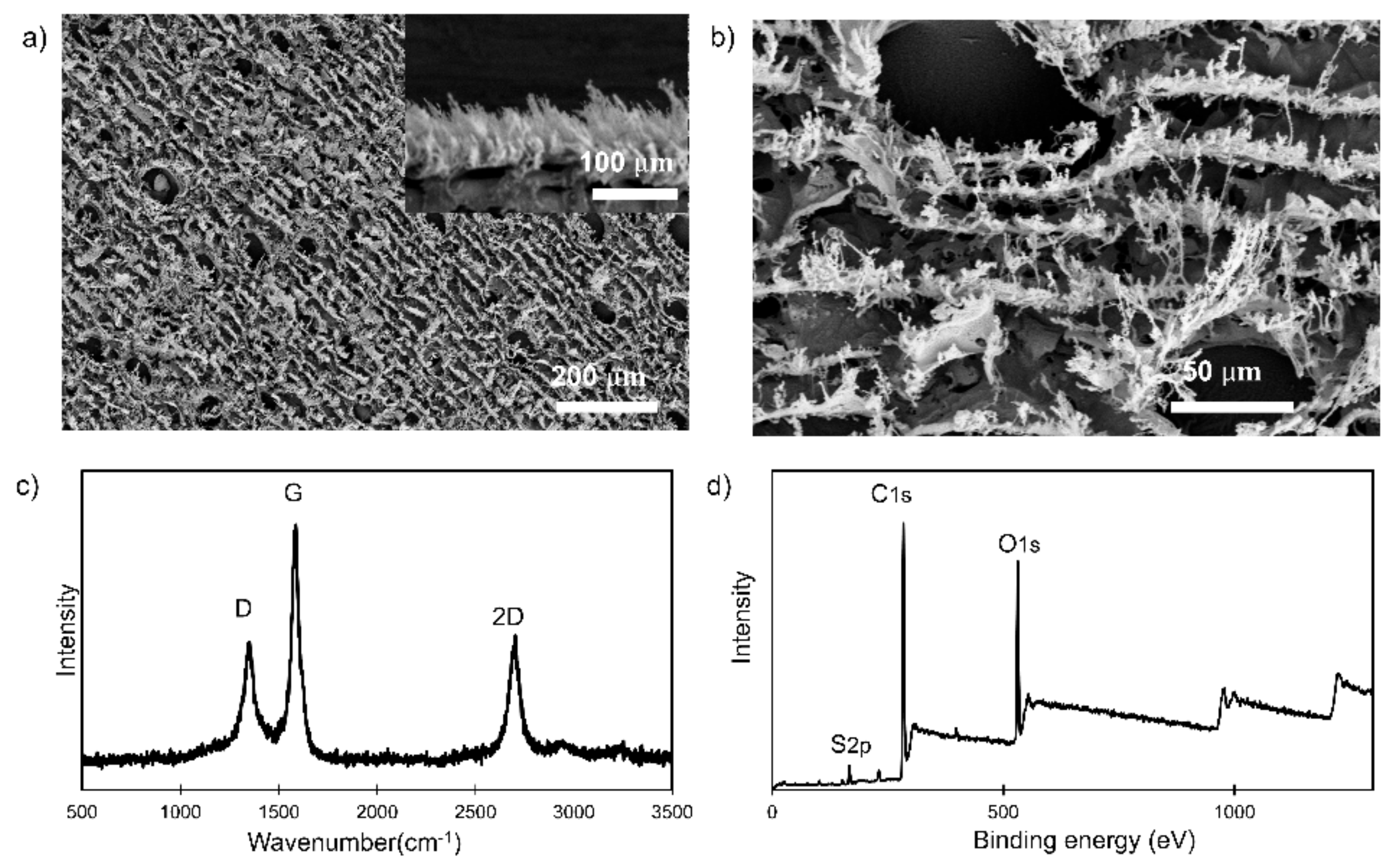 Materials 14 03179 g001