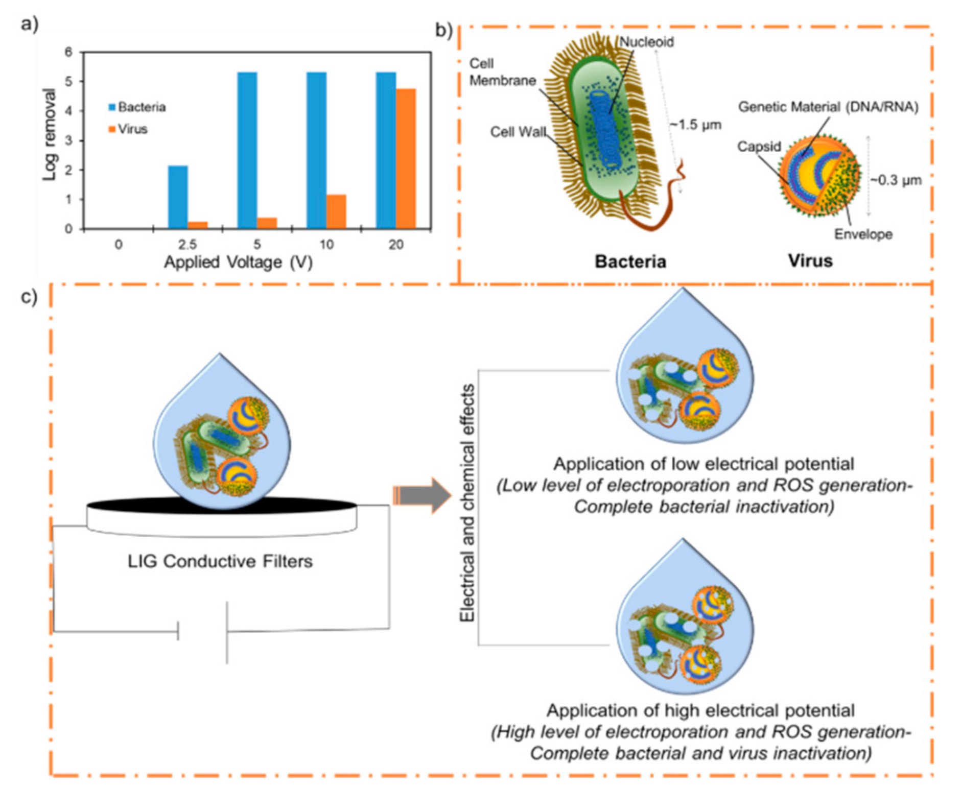 Materials 14 03179 g002