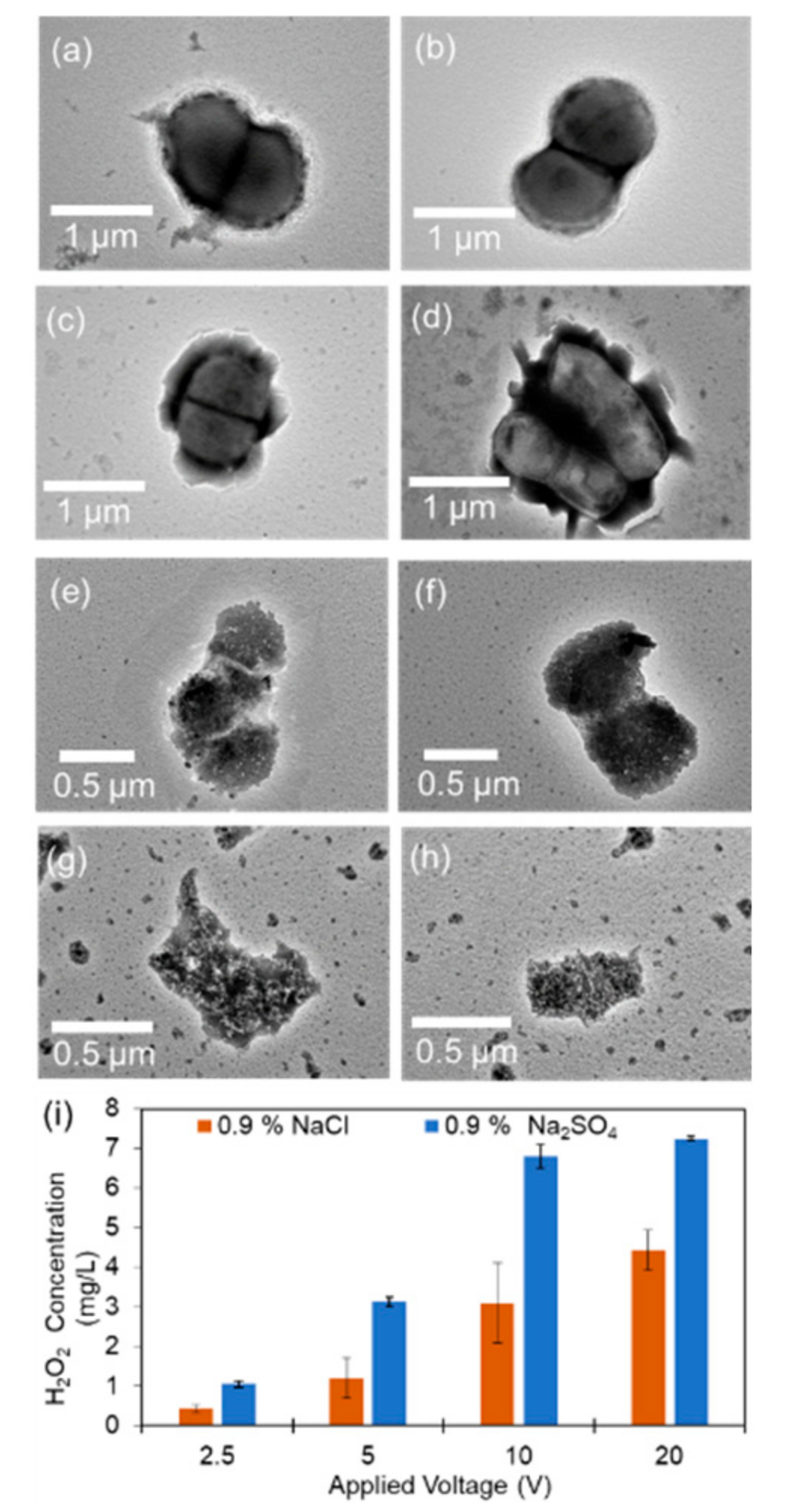 Materials 14 03179 g003