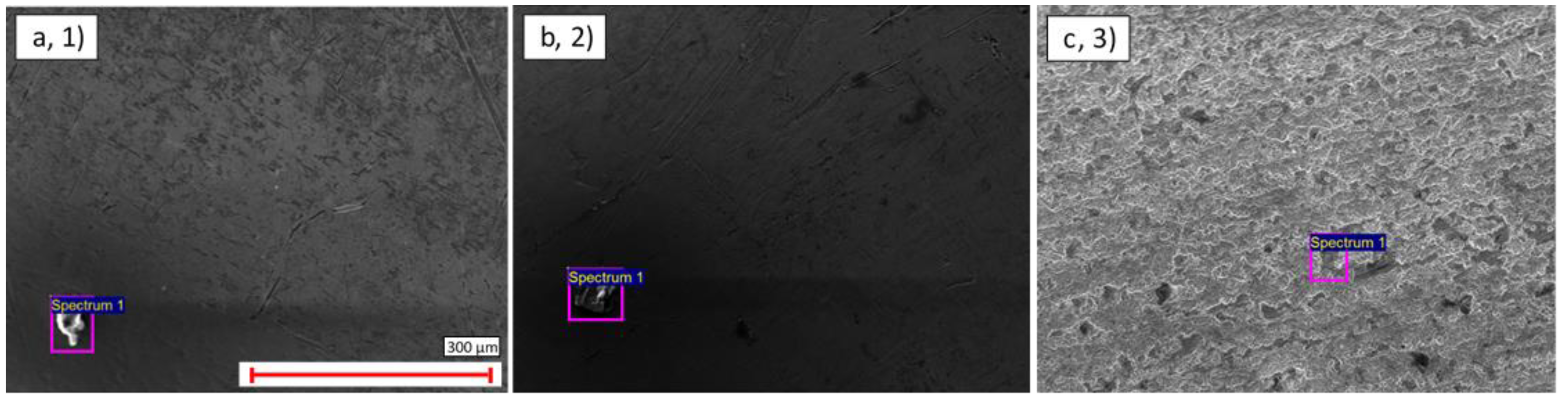 Materials 14 03190 g004