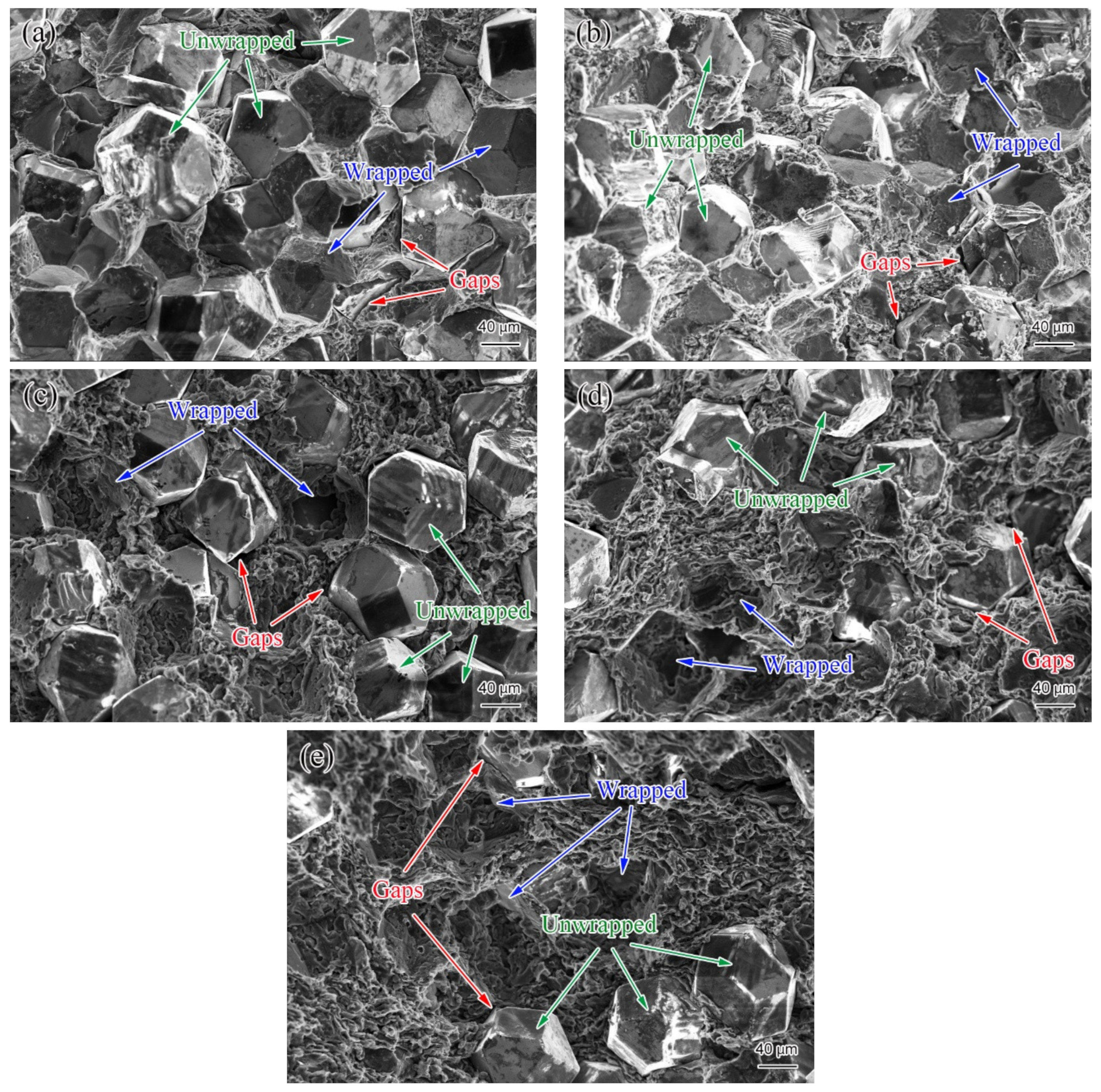 Materials 14 03205 g005