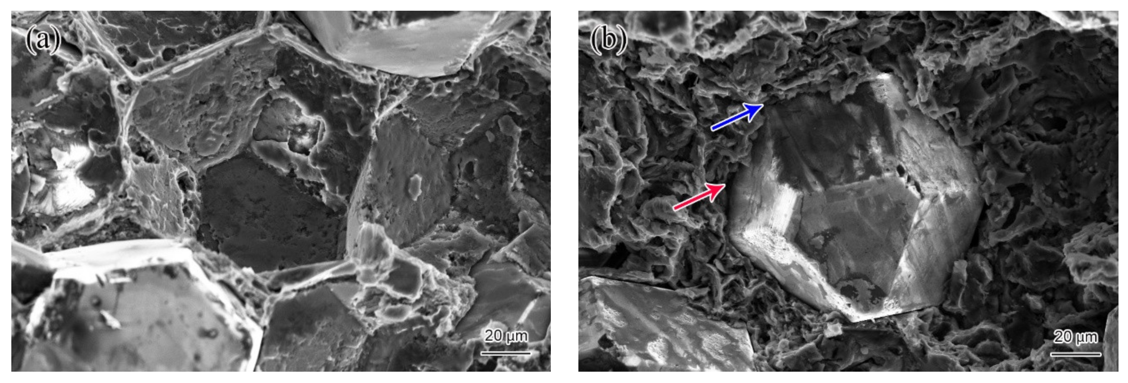 Materials 14 03205 g007