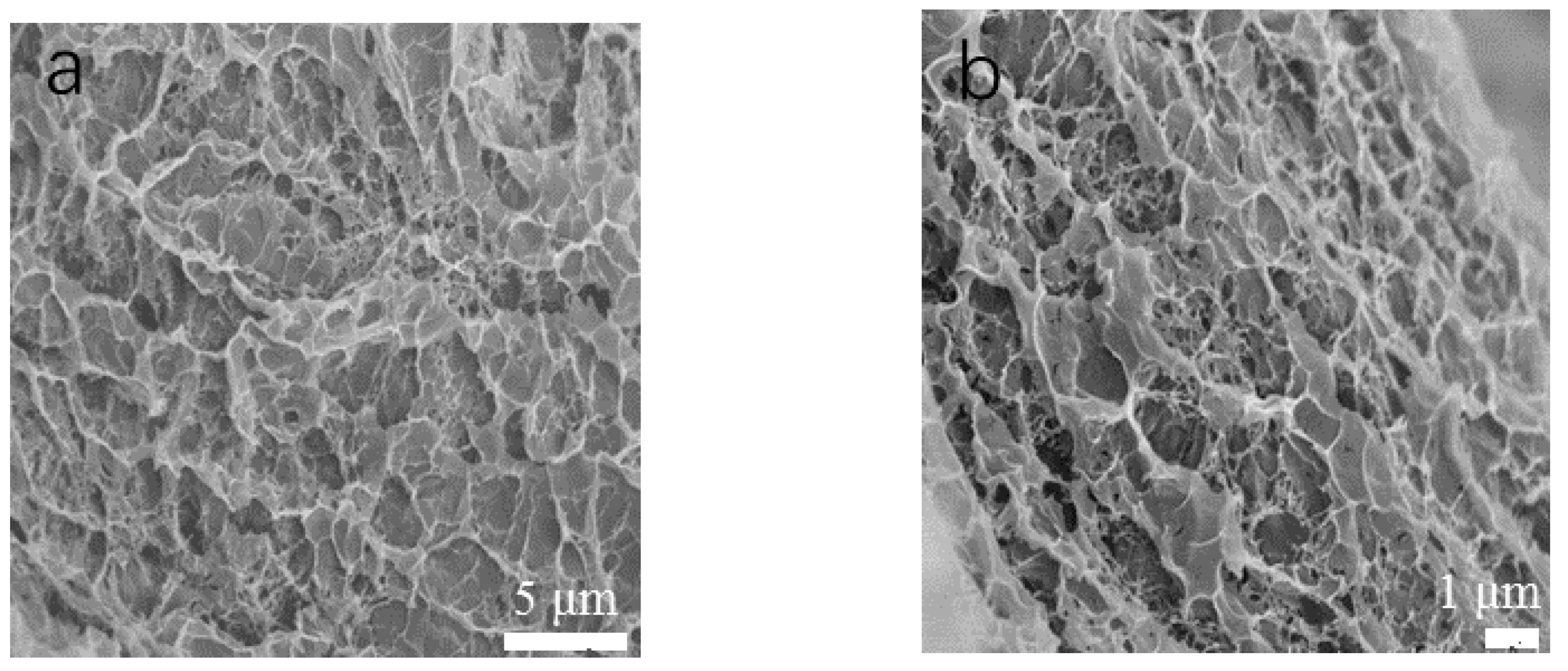 Materials 14 03224 g006 Materials 14 03224 g006