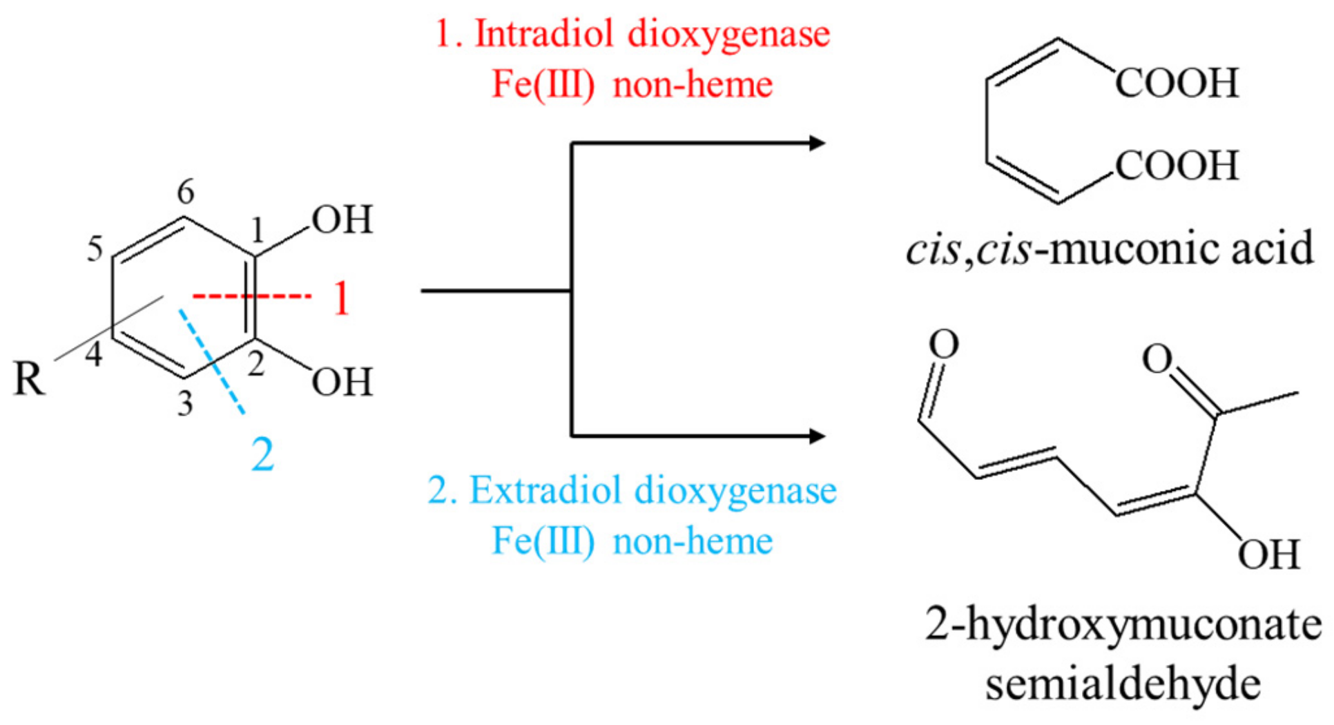Materials 14 03250 g001 Materials 14 03250 g001