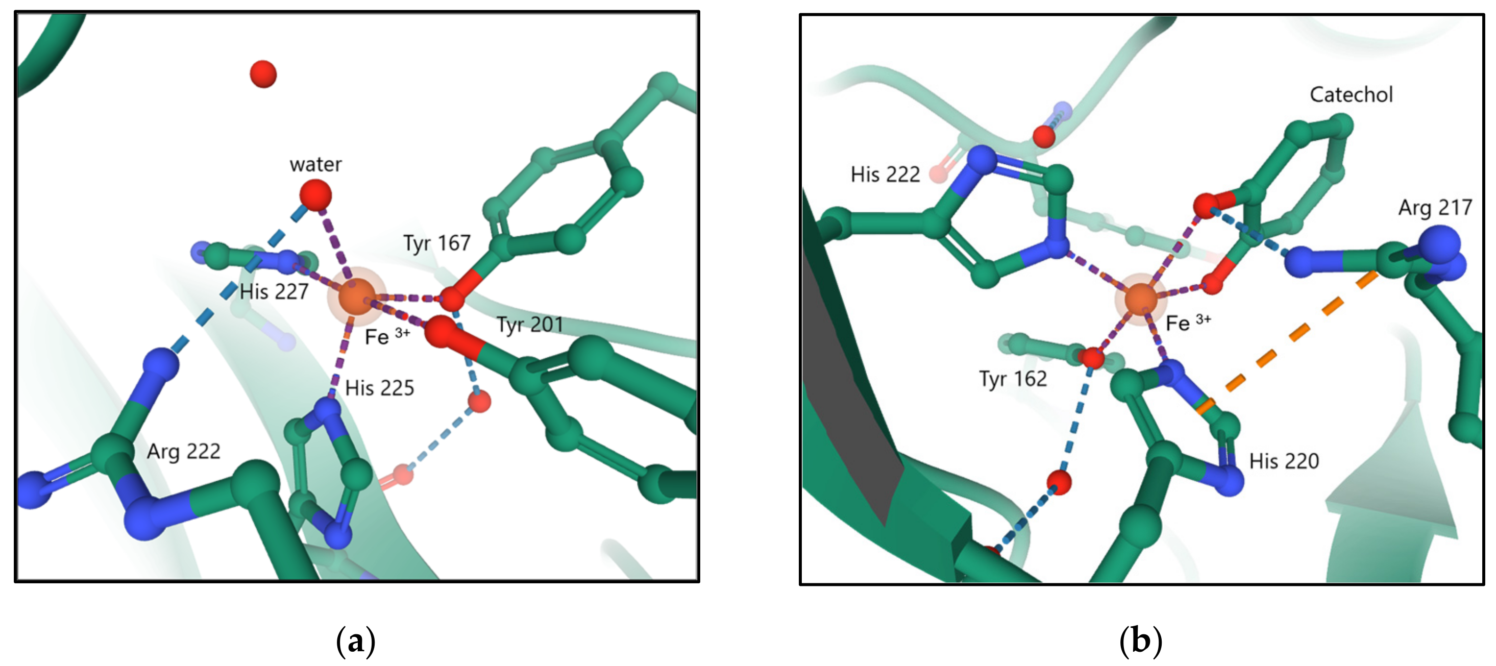 Materials 14 03250 g002 Materials 14 03250 g002