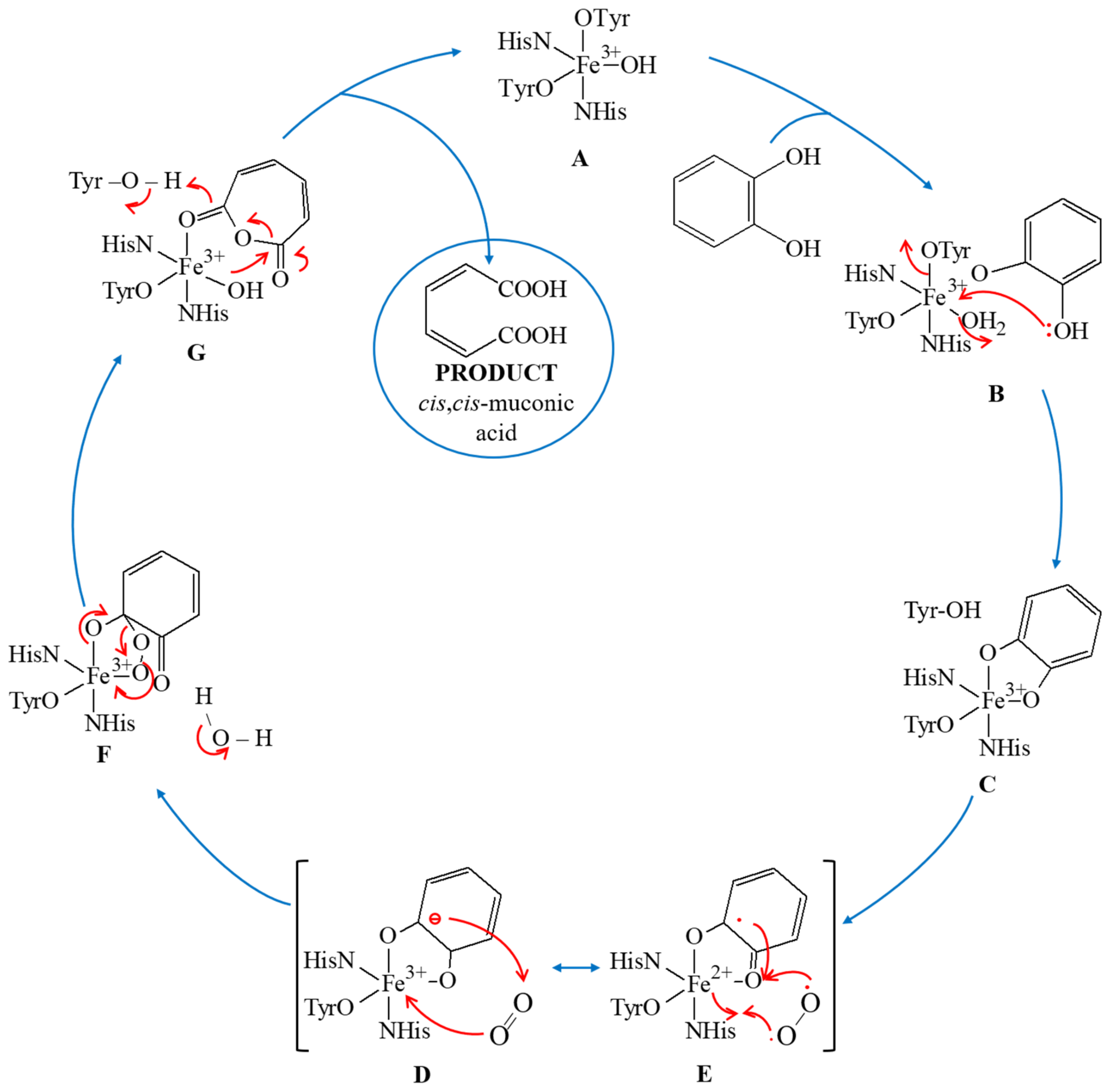 Materials 14 03250 g003 Materials 14 03250 g003