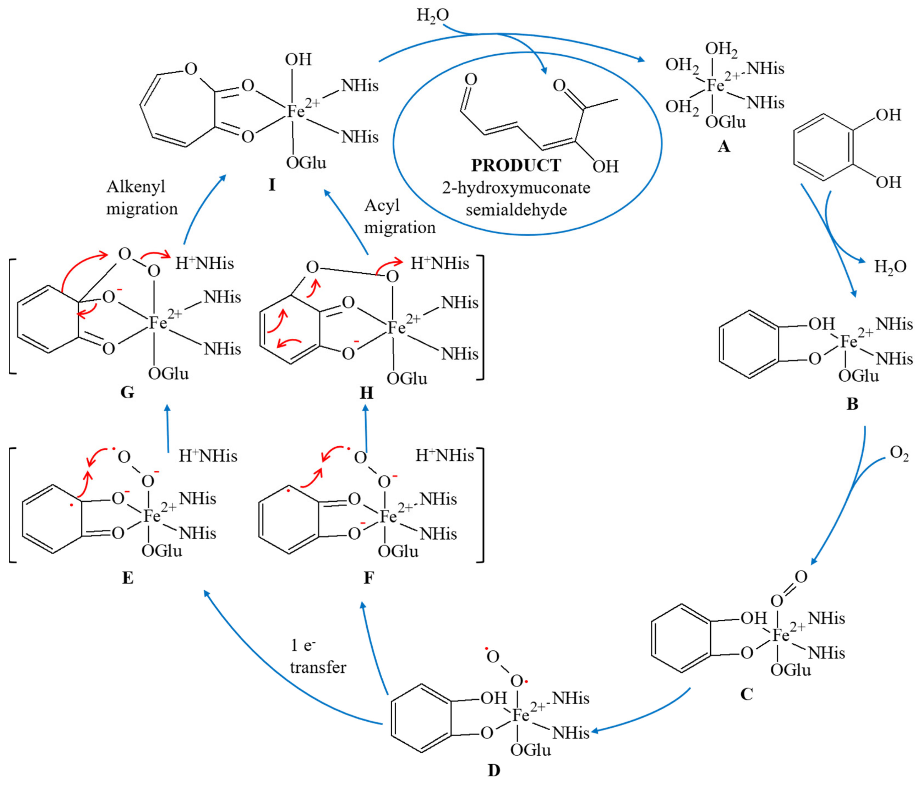 Materials 14 03250 g005 Materials 14 03250 g005