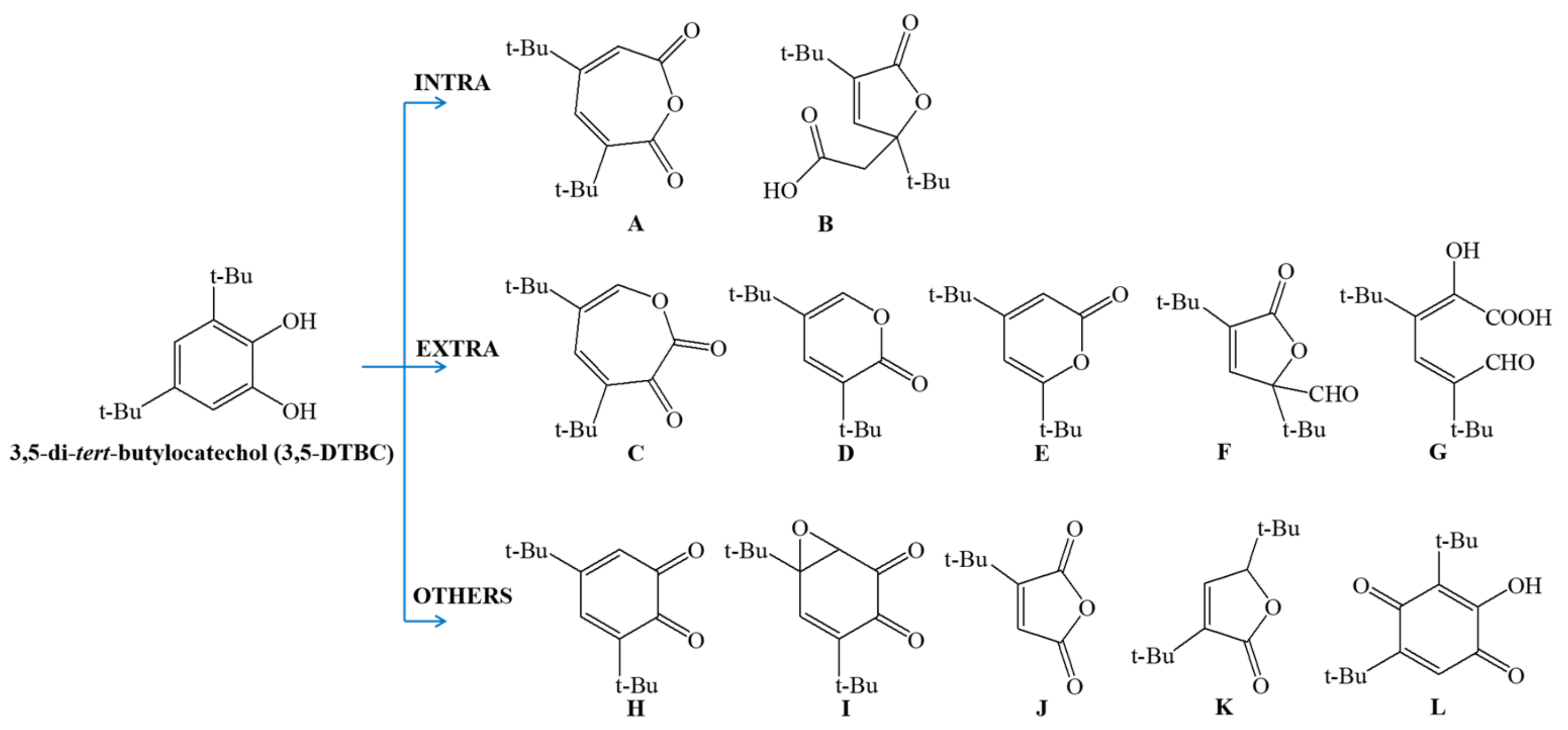 Materials 14 03250 g006 Materials 14 03250 g006