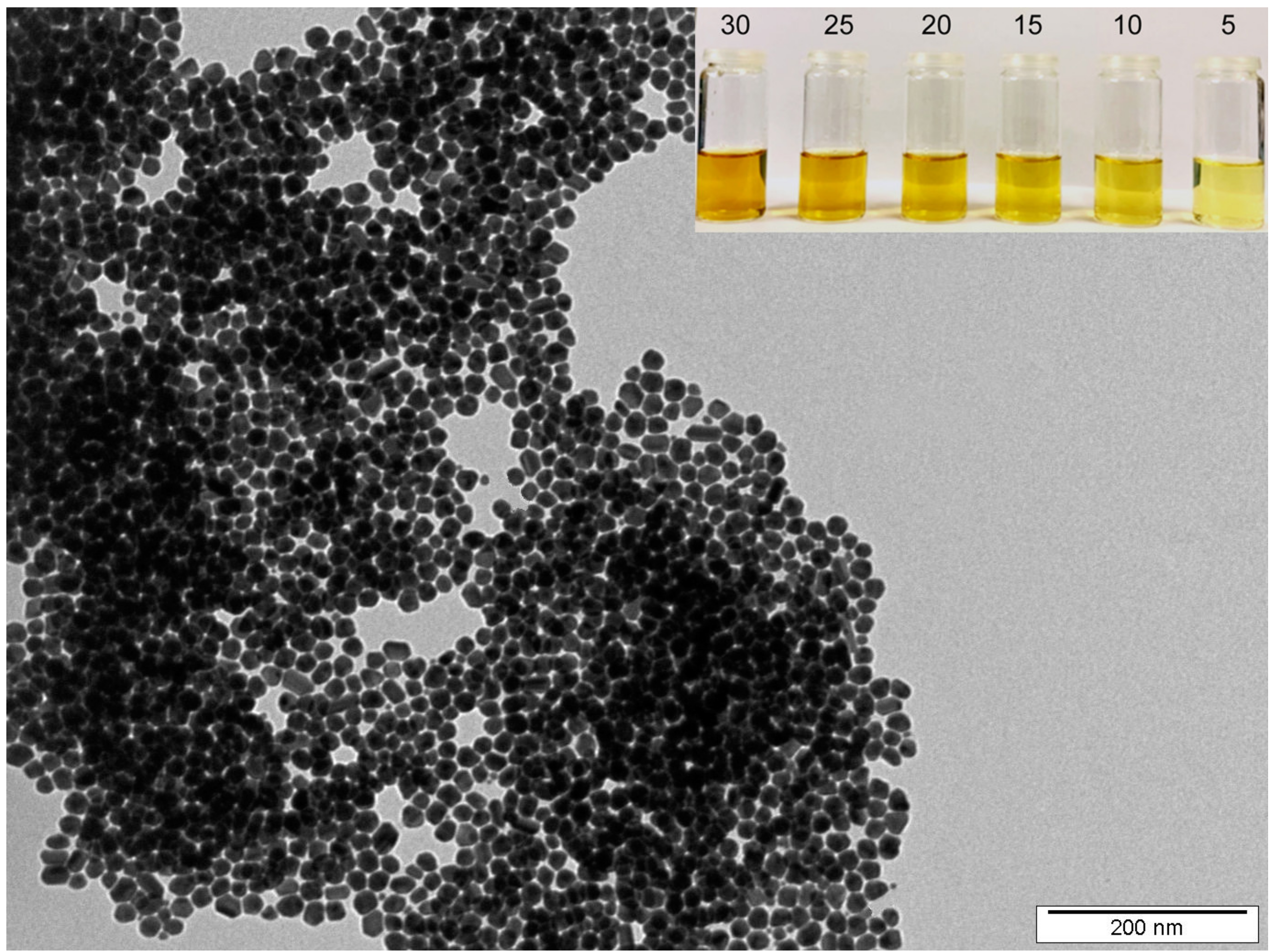 Materials 14 03263 g001