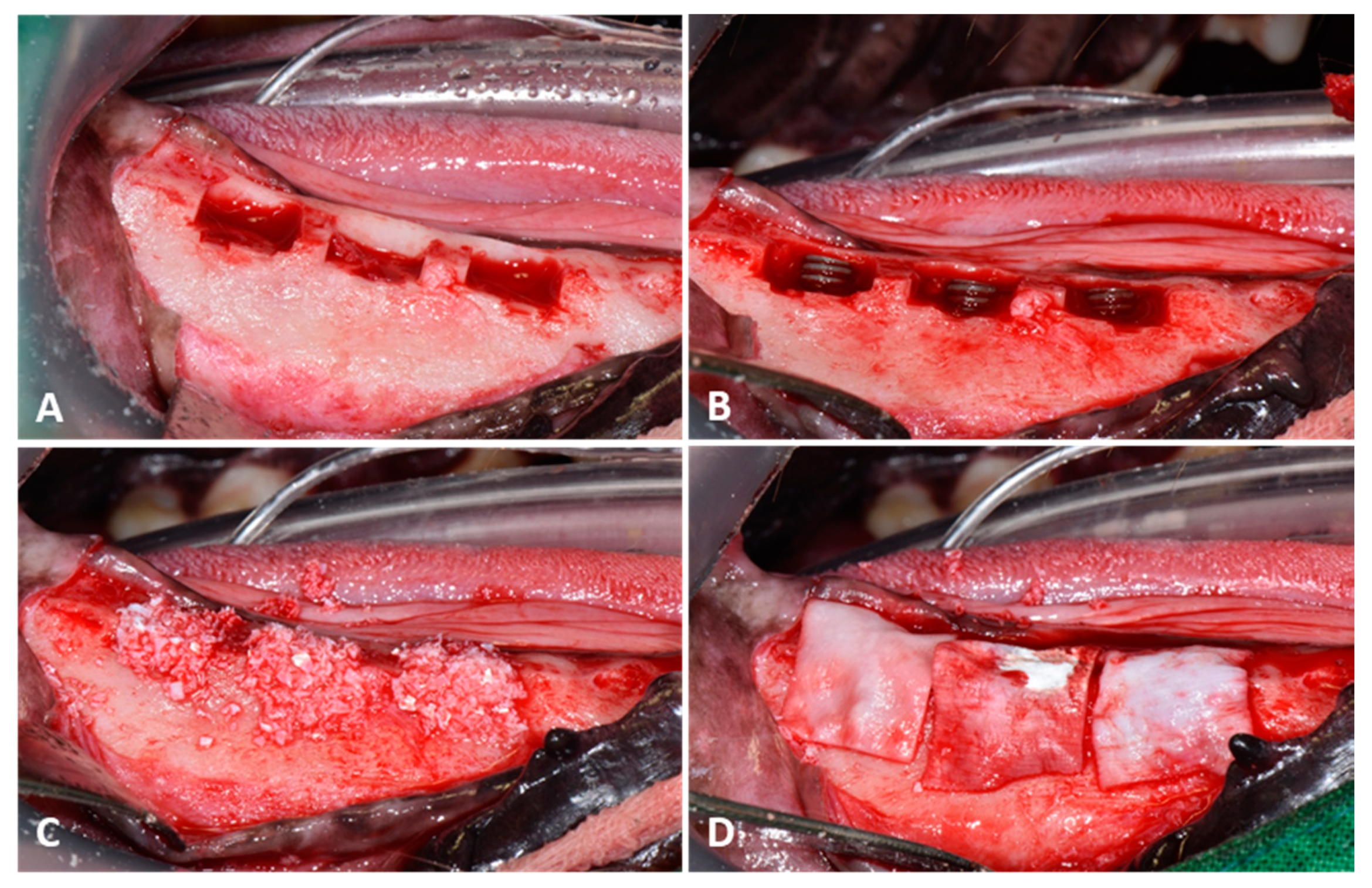 Materials 14 03268 g001