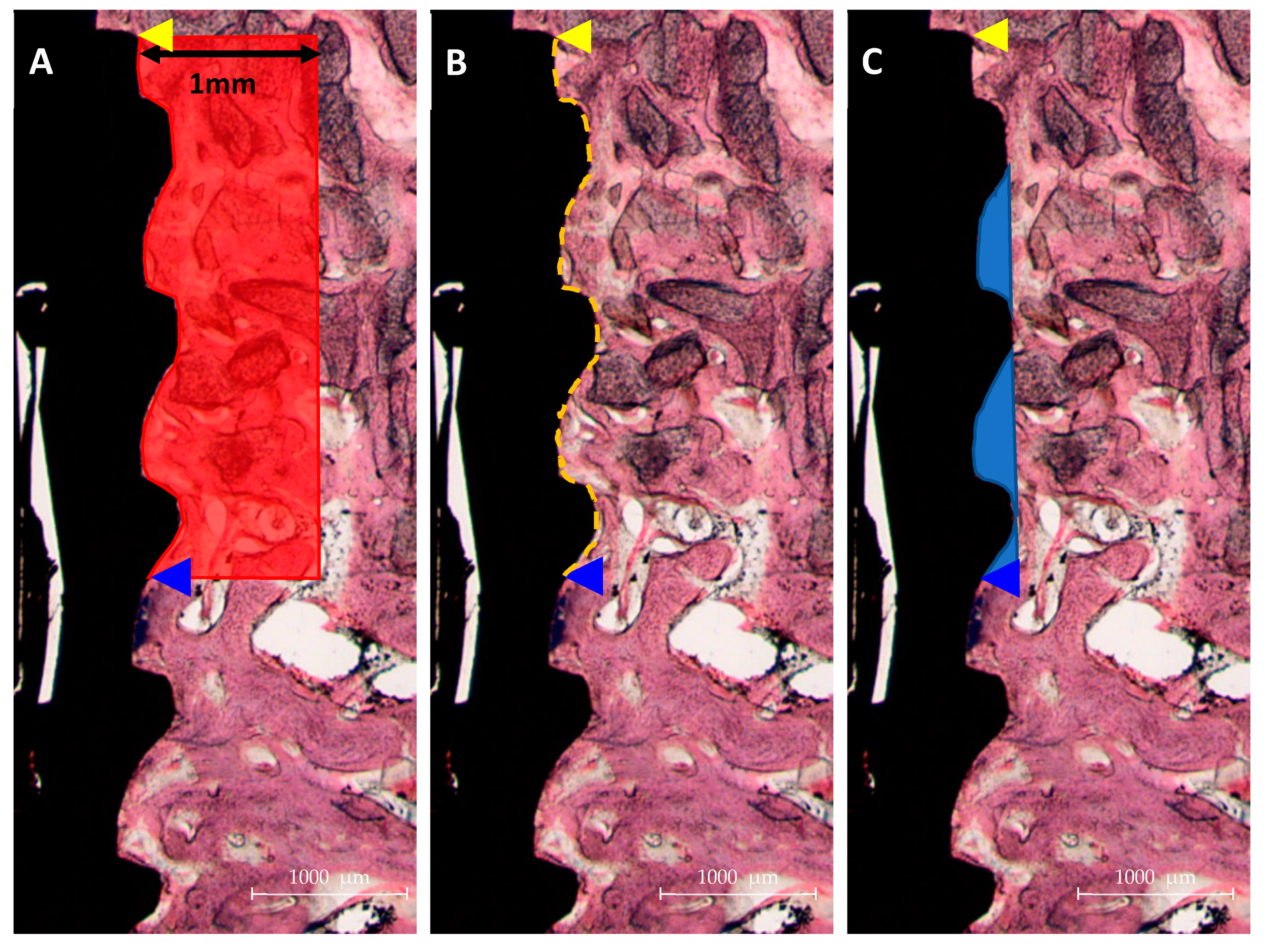 Materials 14 03268 g003