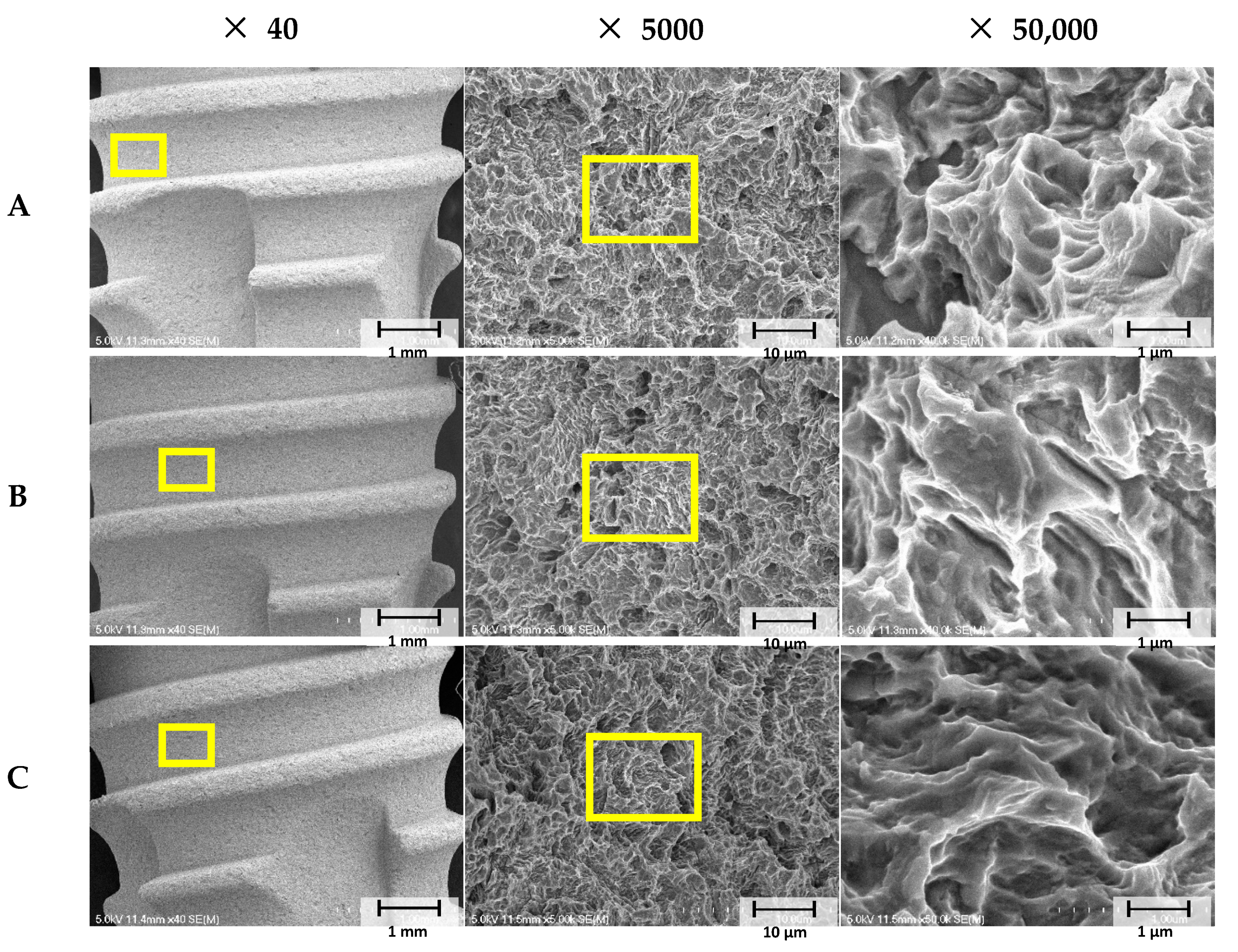 Materials 14 03268 g004