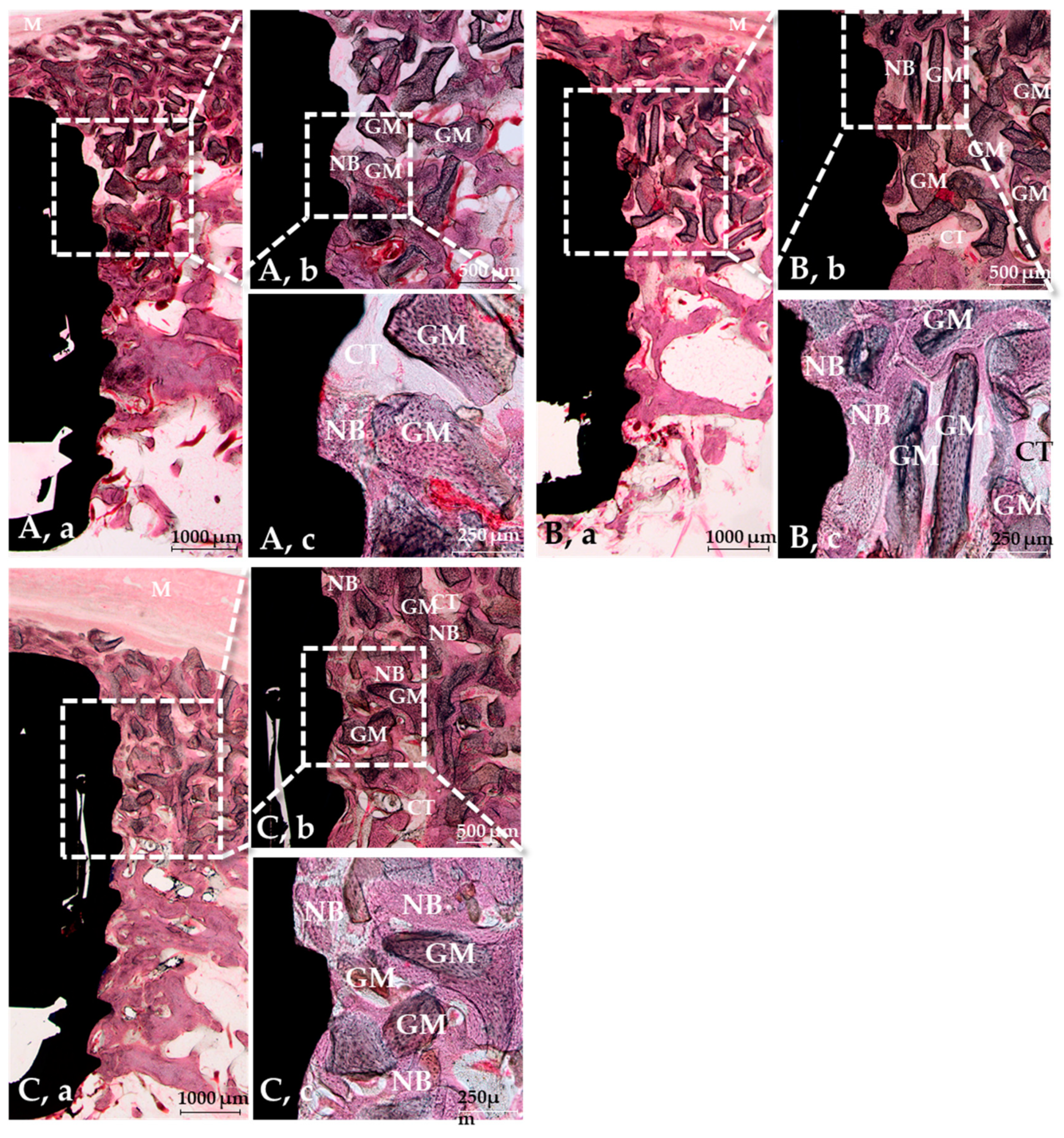 Materials 14 03268 g007