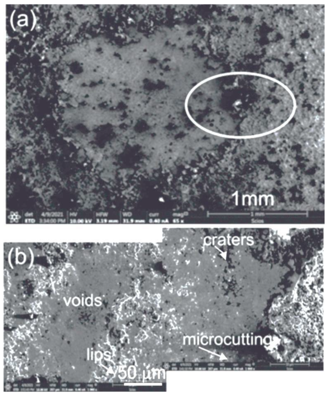 Materials 14 03282 g012